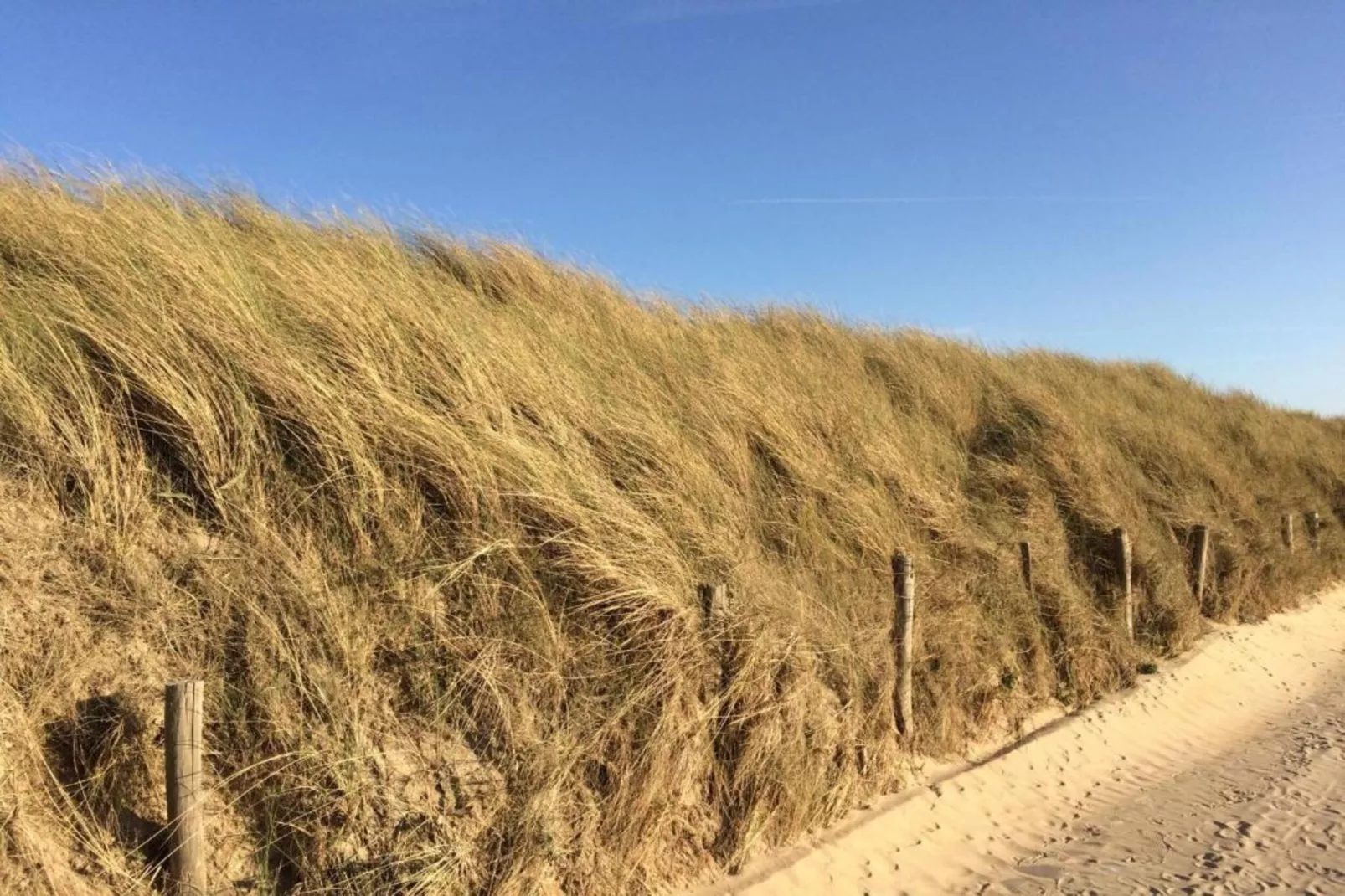 RESIDENTIE ANDREWS 0401-Gebieden zomer 20km