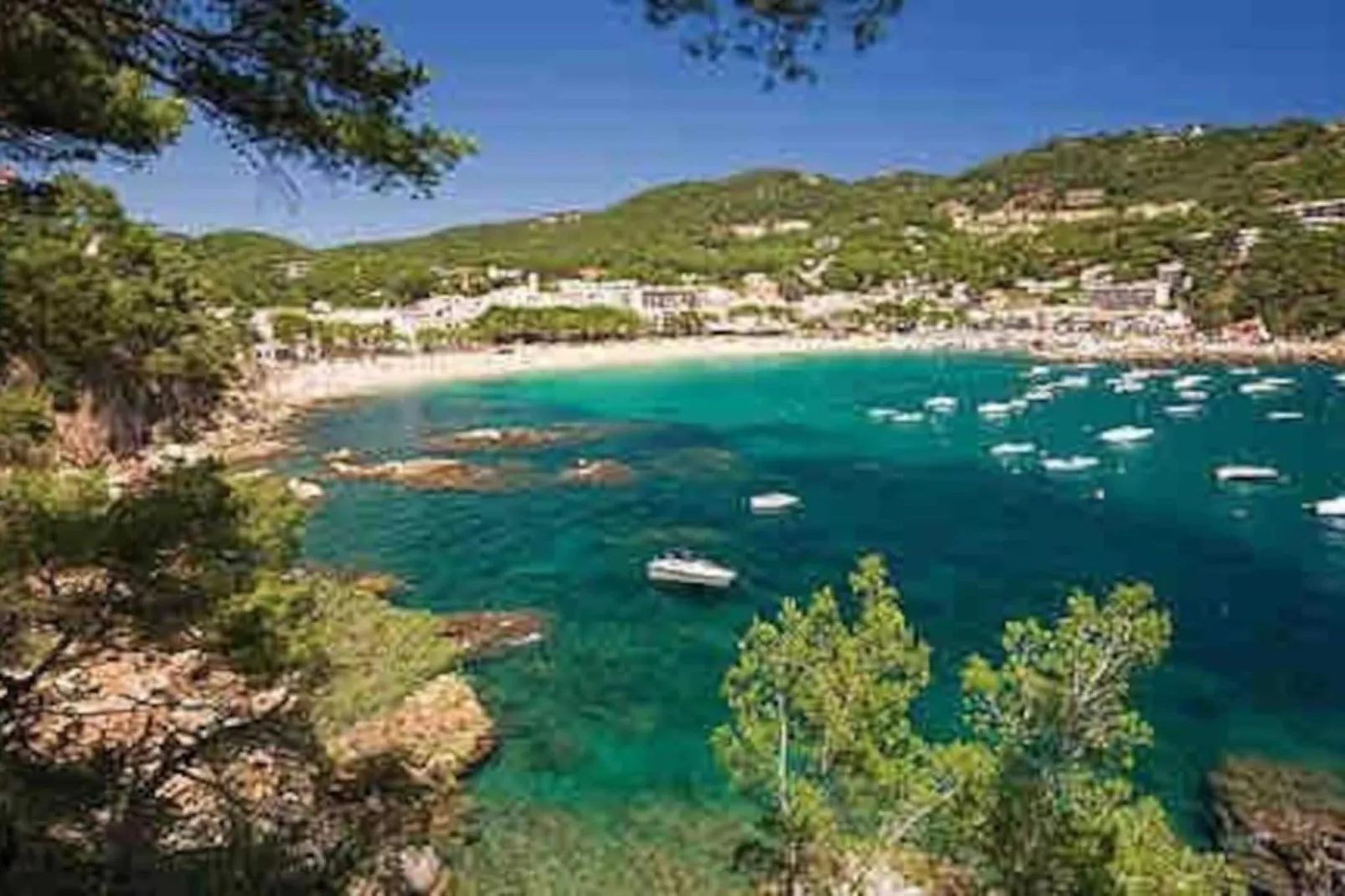 Sabine-Gebieden zomer 20km