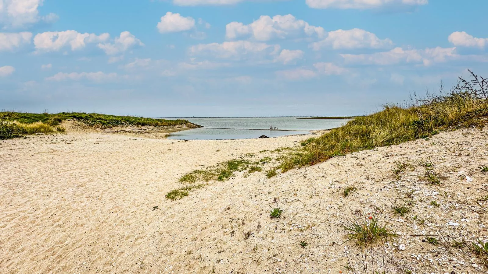 Dune Deluxe-Gebieden zomer 1km