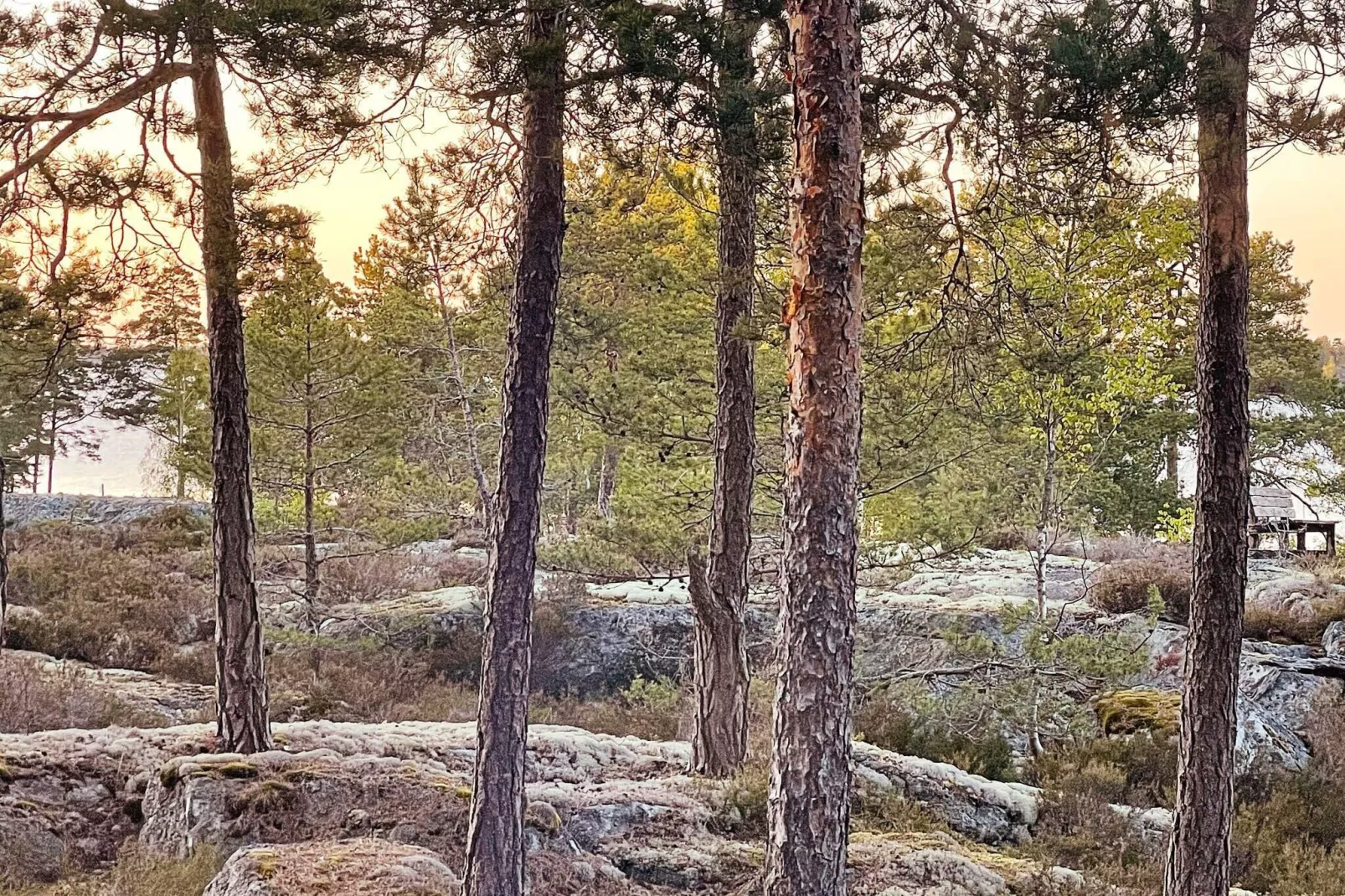10 persoons vakantie huis in MÖJA-By Traum-Niet-getagd