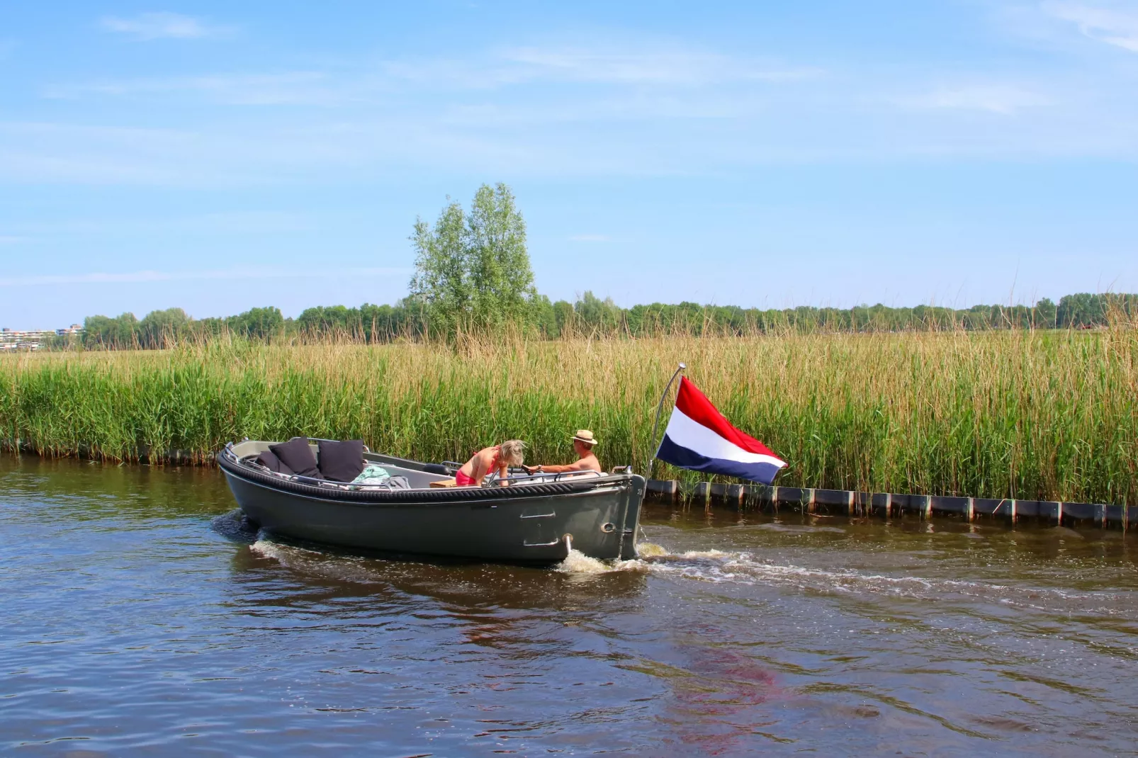 Regthuys Binnen-Gebieden zomer 1km