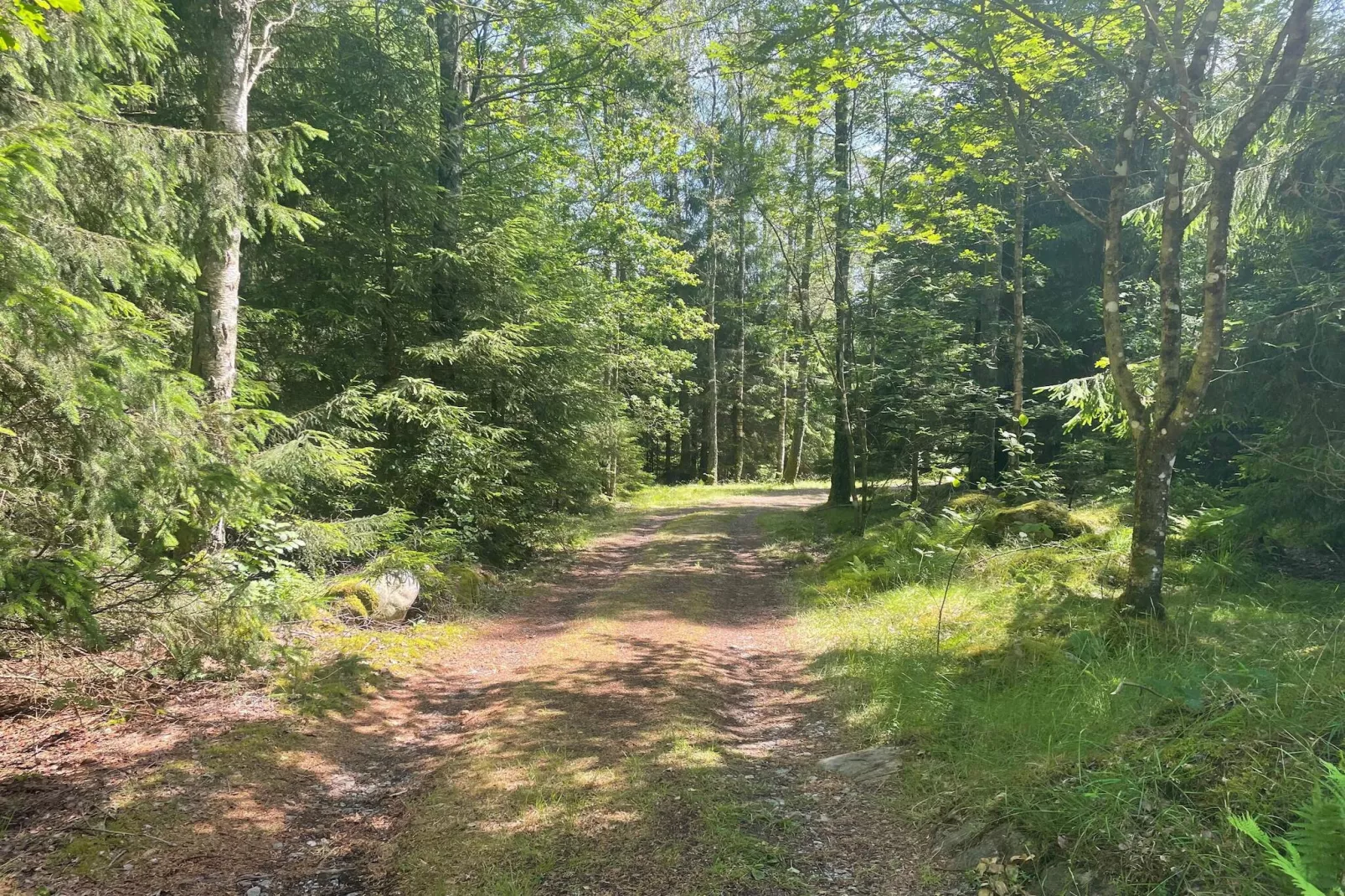 Afgelegen verblijf in het bos met bijgebouw-Buitenlucht