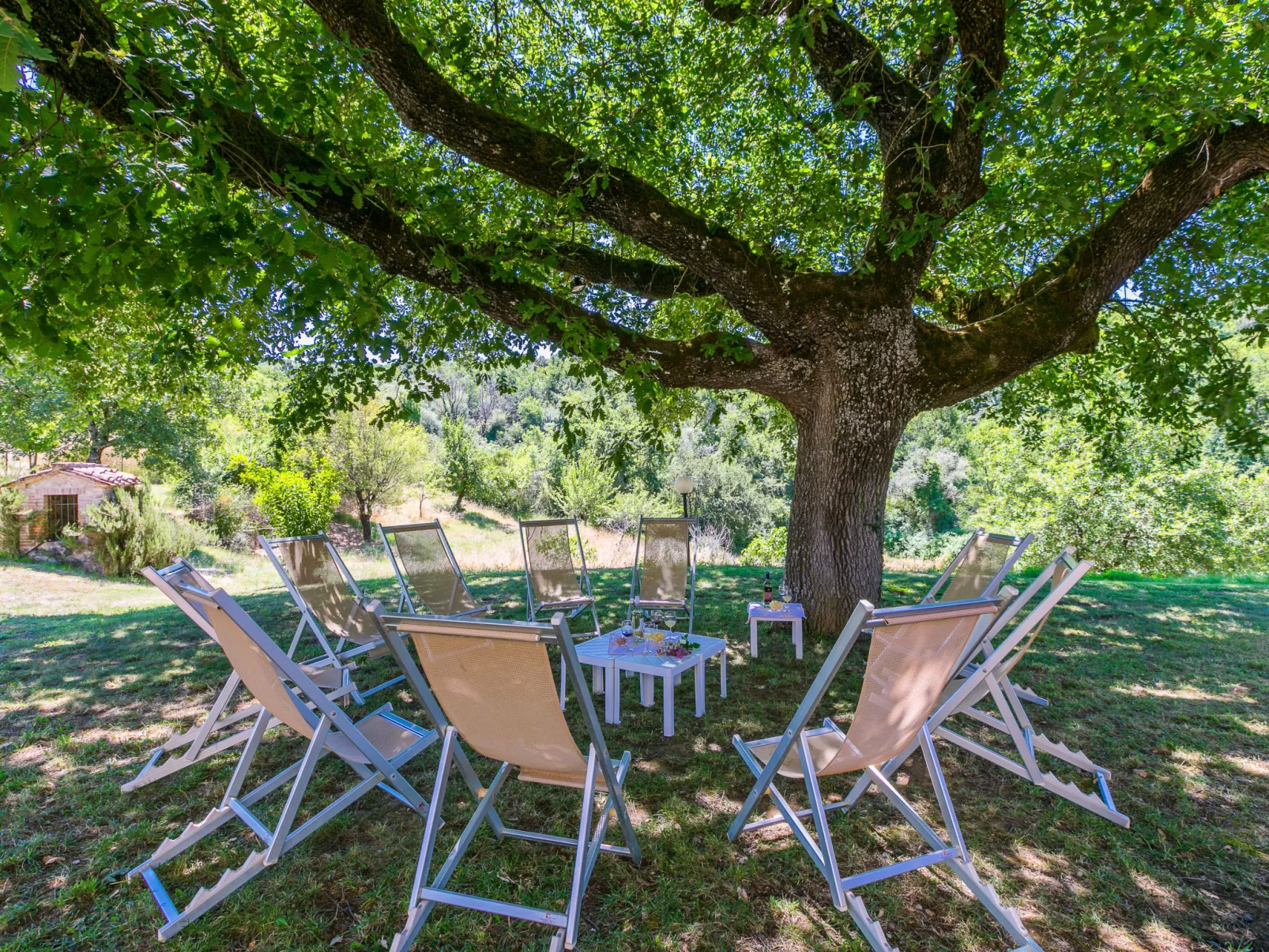 Podere San Giuseppe-Buiten