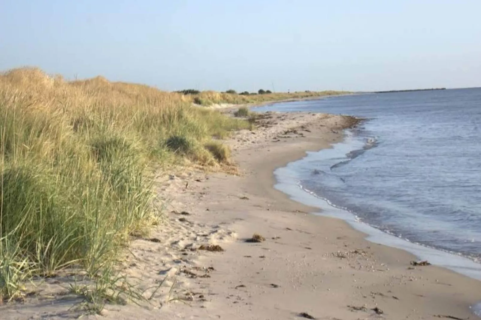 Afgelegen Duinhuisje-By Traum-Buitenlucht