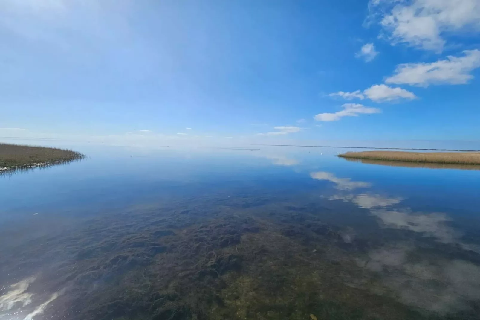 3 persoons vakantie huis in Ringkøbing-Waterzicht