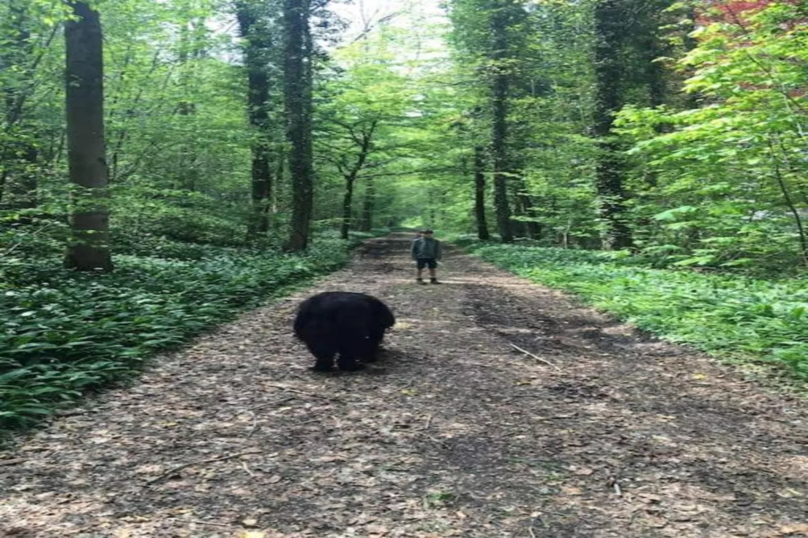 Les secrets du chat-Gebieden zomer 20km