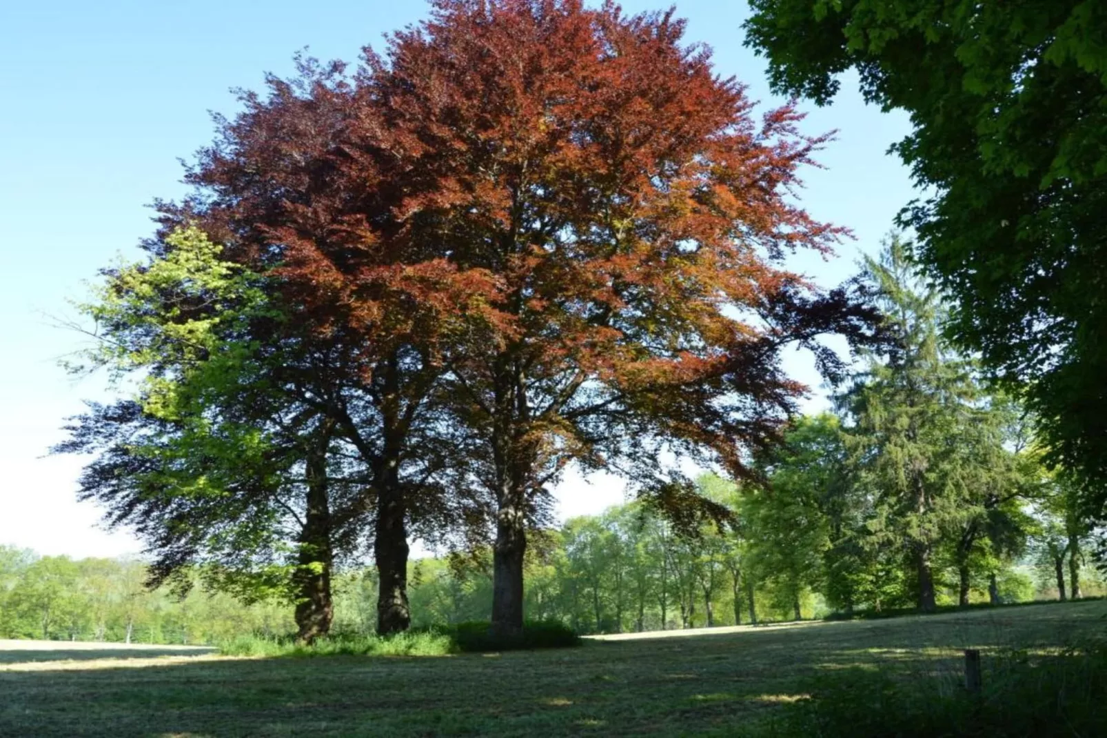 Les Charmes-Gebieden zomer 20km