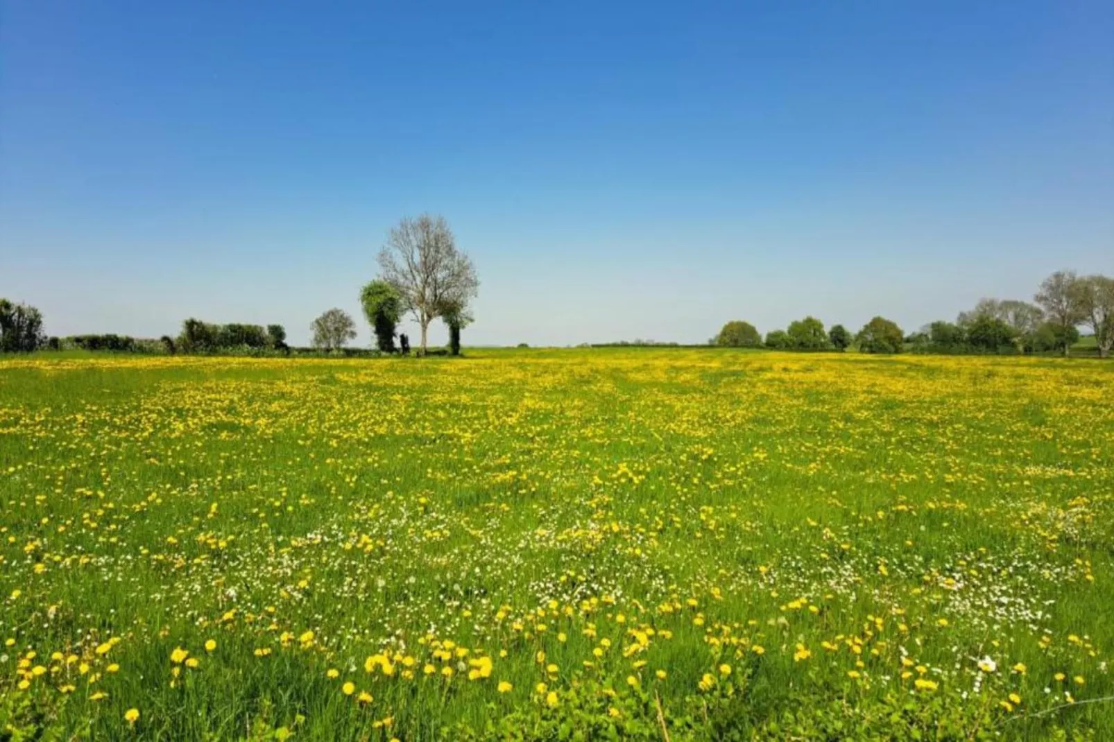 Sapin-Paul-Gebieden zomer 20km
