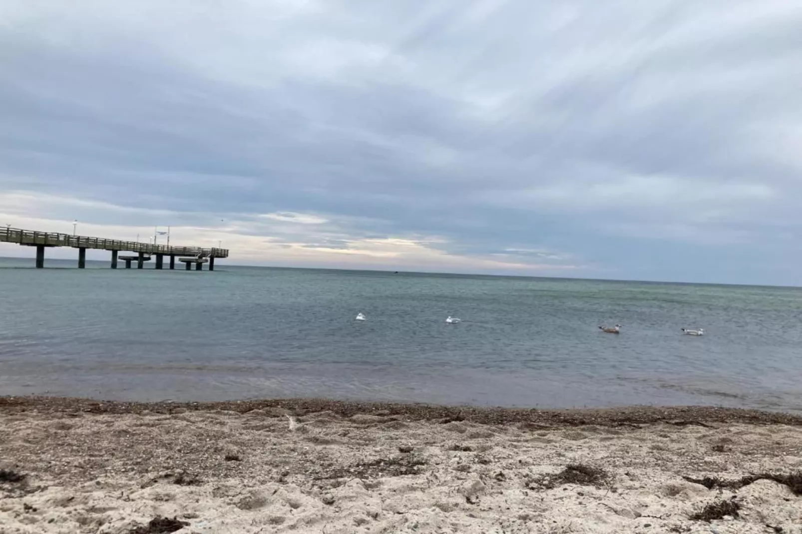 Ferienwohnung in Strandnähe Rerik-Gebieden zomer 5km
