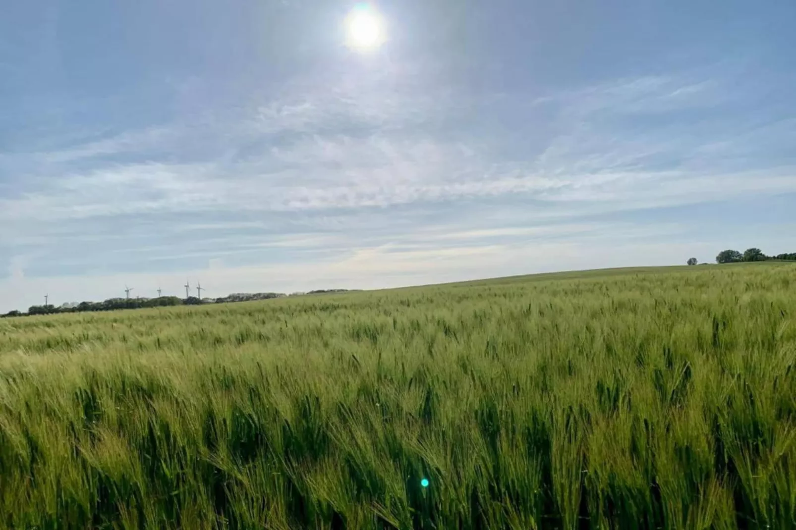 Zur Windmühle-Gebieden zomer 20km