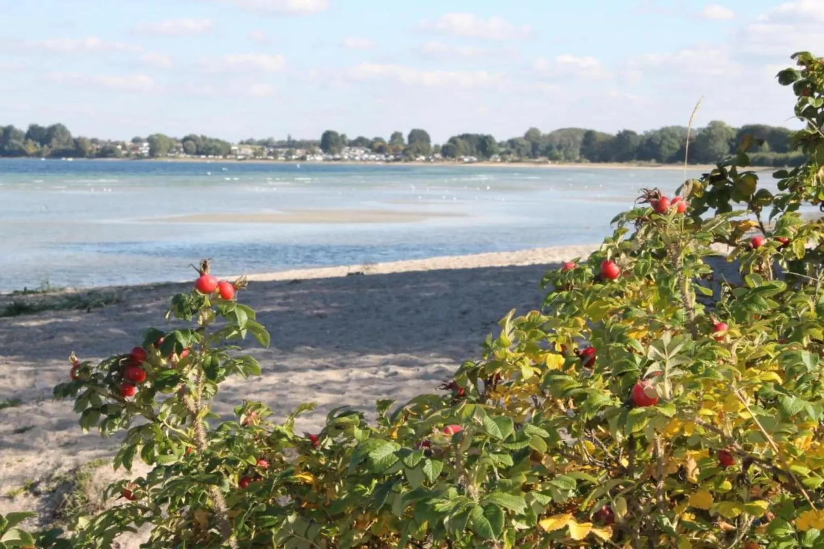 Bungalow Campingplatz am Salzhaff-Gebieden zomer 1km