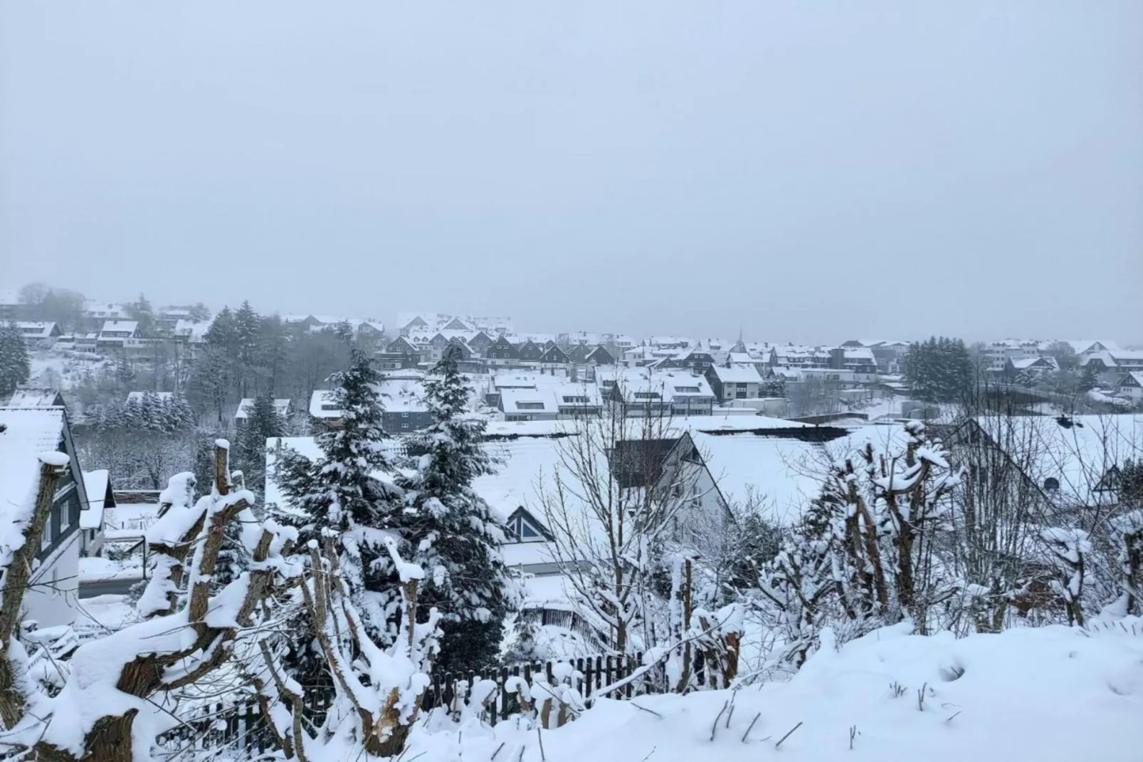 Flora-Gebied winter 20km