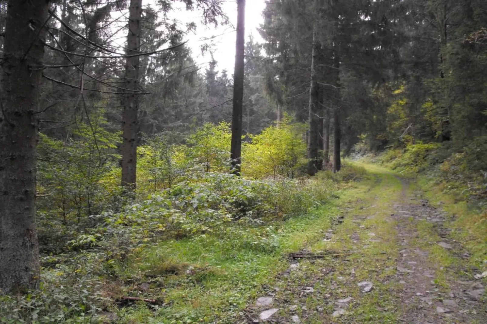 Spiegeltal-Gebieden zomer 5km