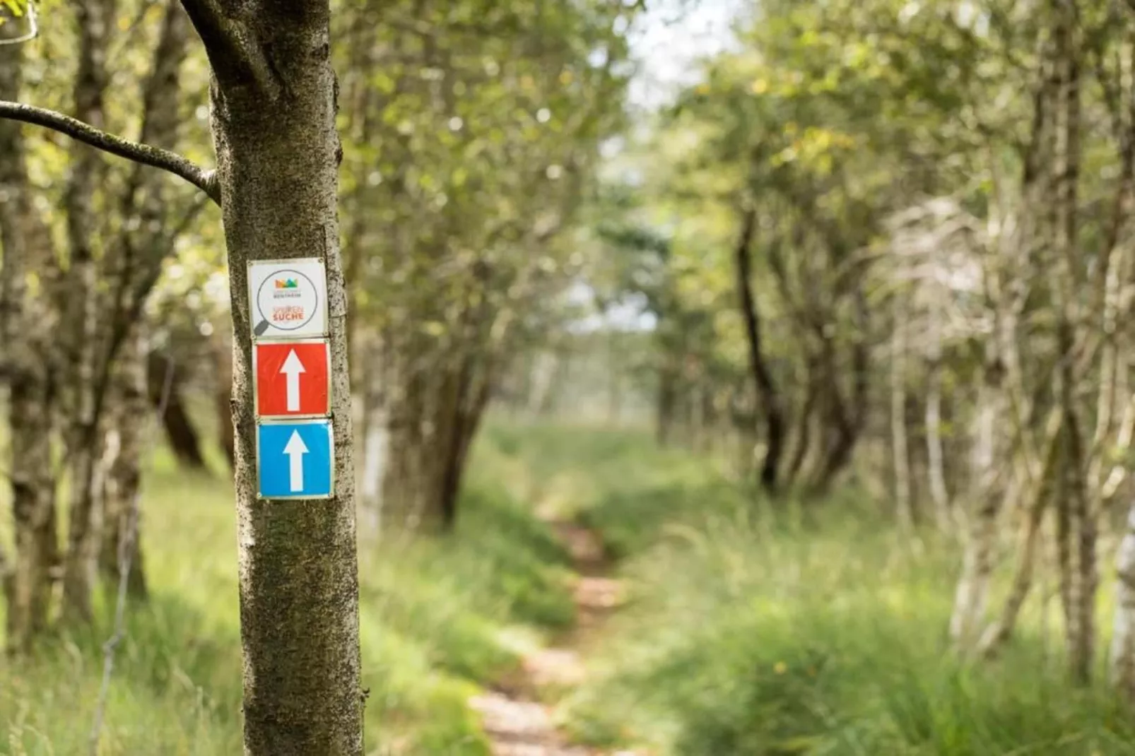 Ferienresort Bad Bentheim 1-Gebieden zomer 20km