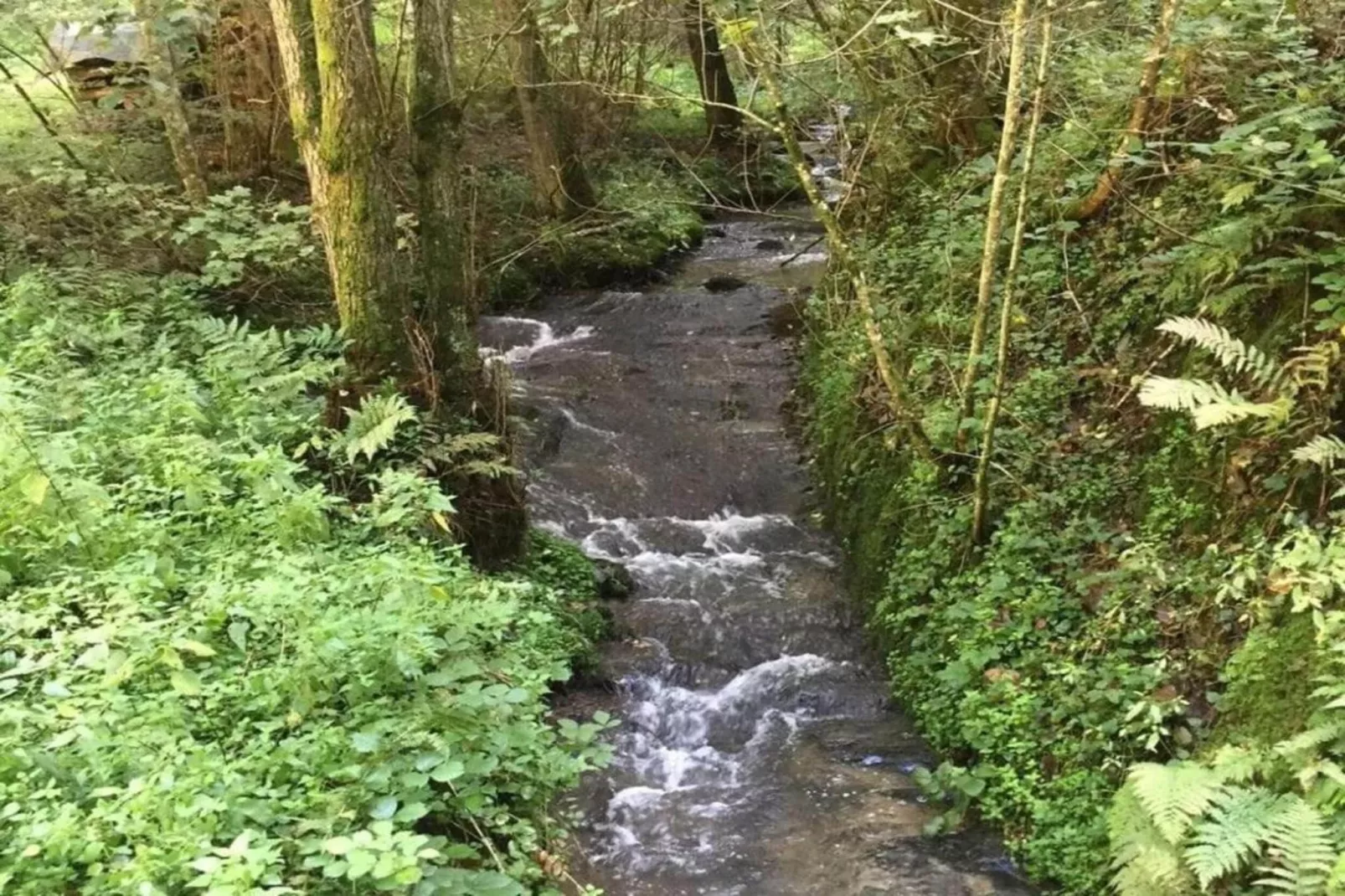 Pilmer 20-Gebieden zomer 20km