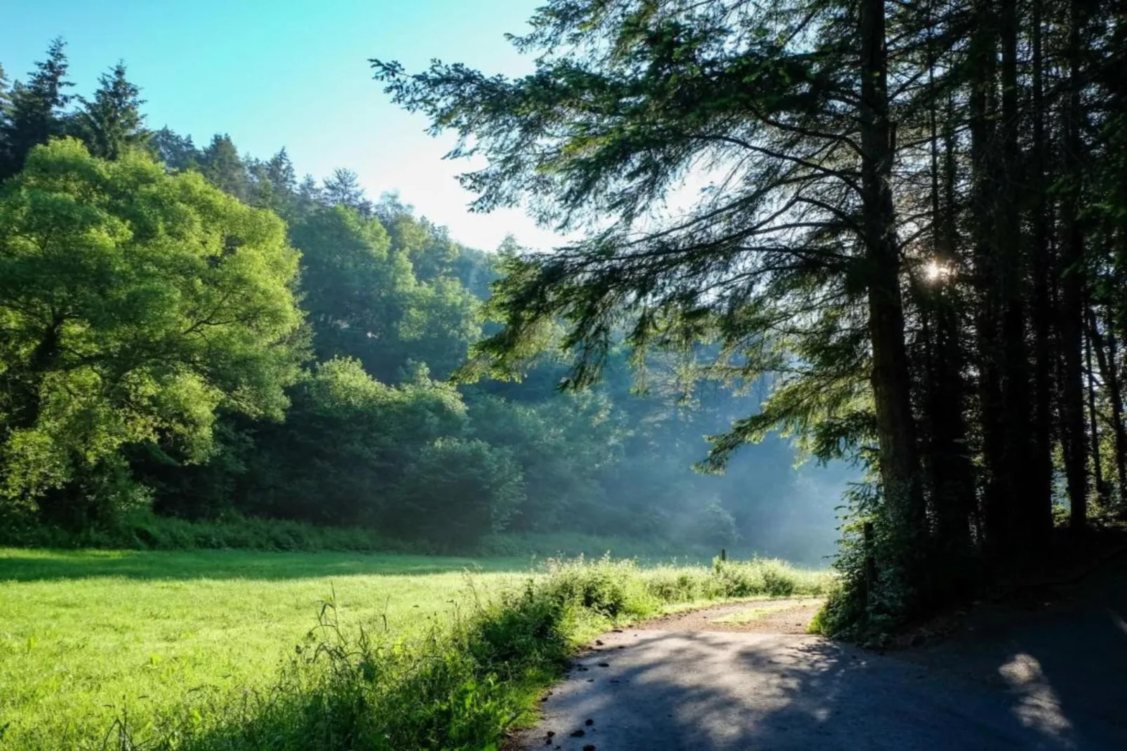 Feriendorf Reinskopf 1-Gebieden zomer 5km