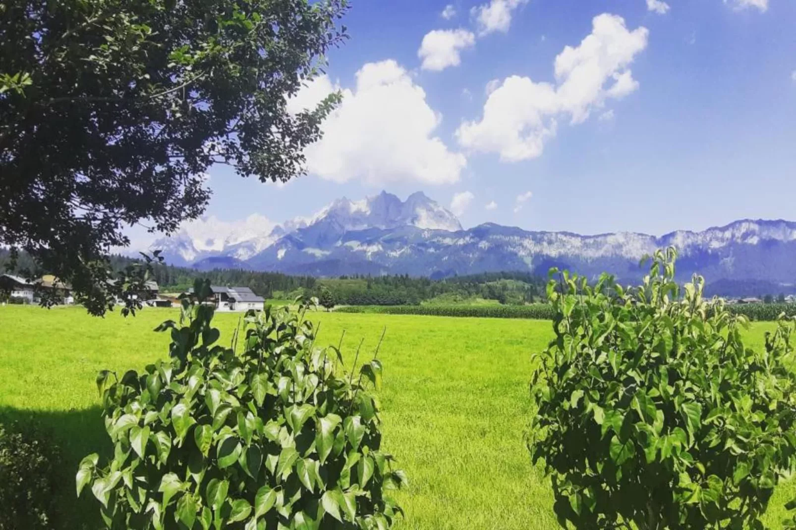 Kirchenbauer-Gebieden zomer 20km