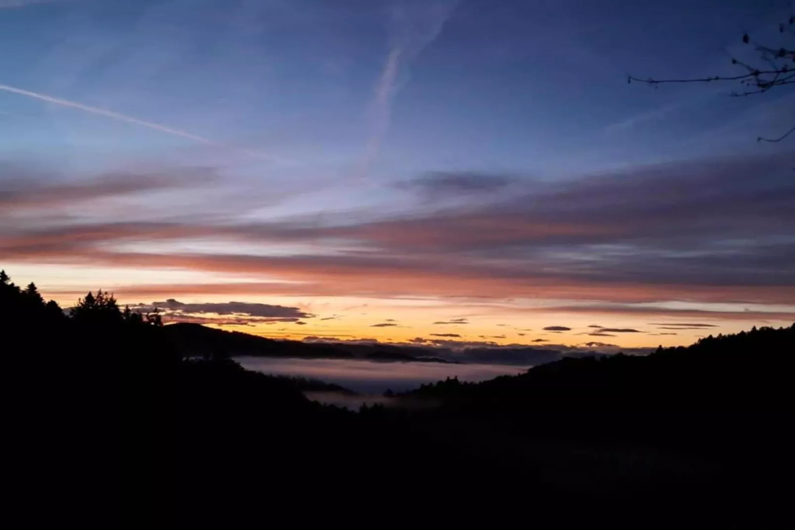 Schwarzwald-Gebieden zomer 20km