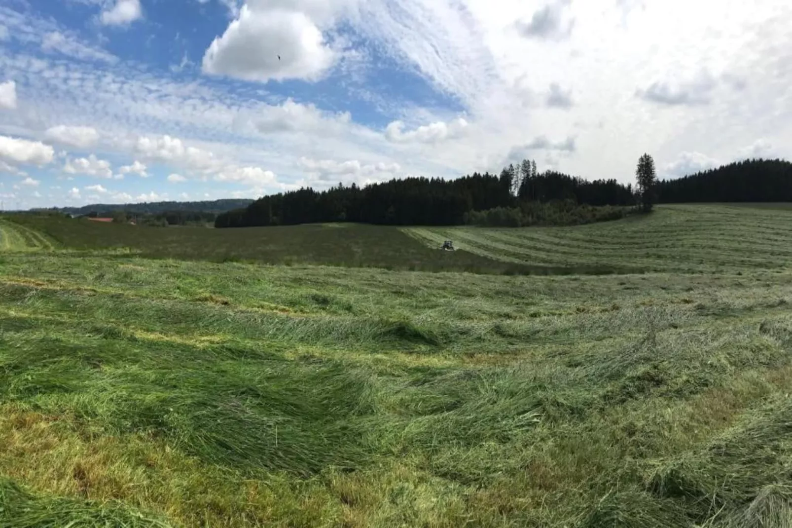 Ferien im Oberallgäu-Gebieden zomer 20km