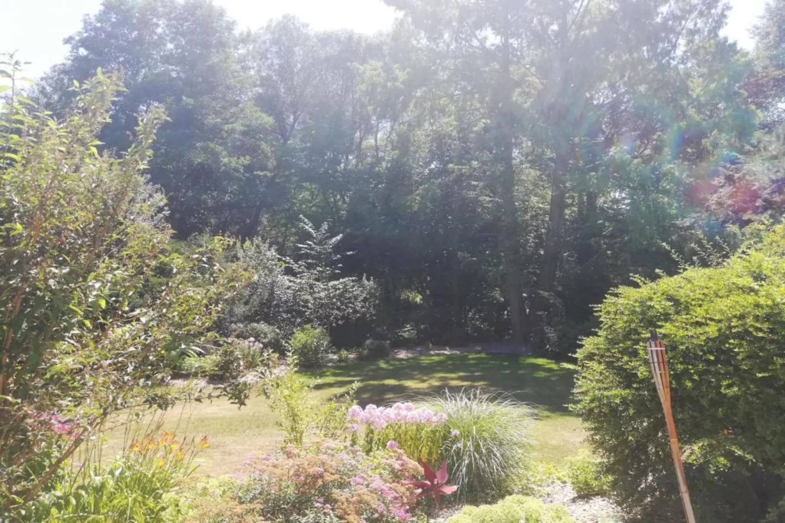 Bodenwöhr-Gebieden zomer 5km