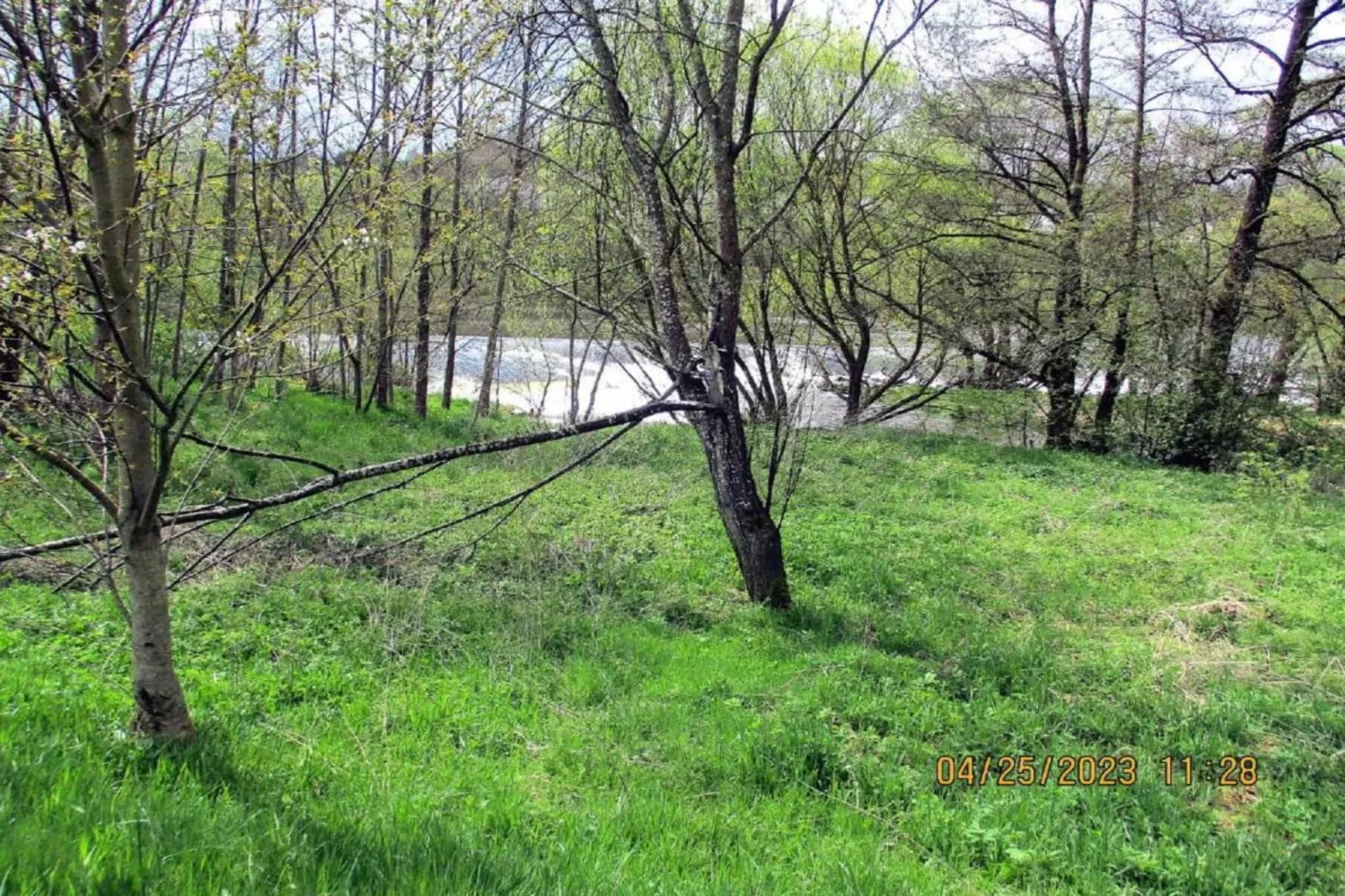 Vakantiehuis met sauna in Viechtach-Gebieden zomer 20km