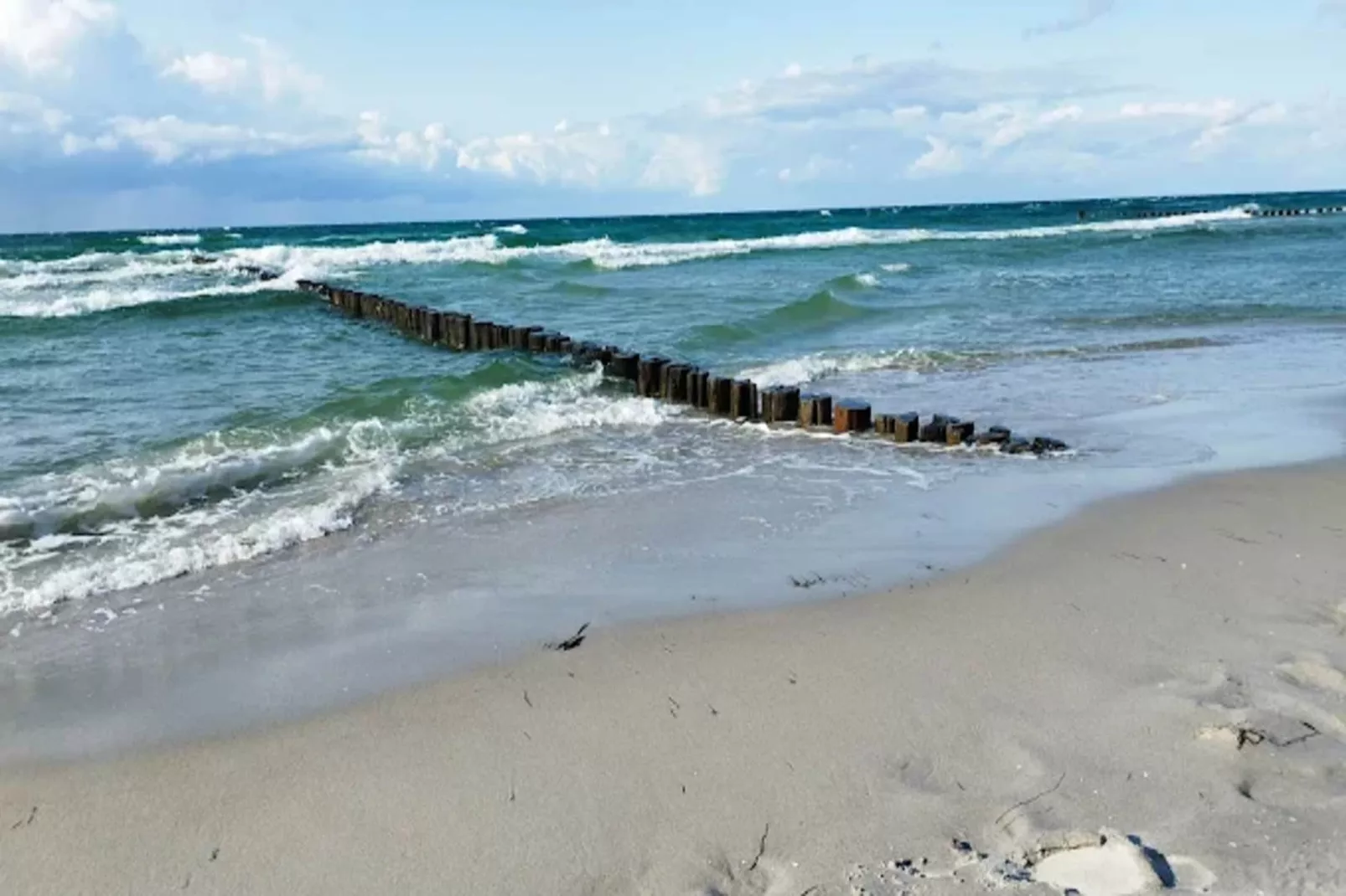 Ferienwohnung Zingst-Buhnen 24-Gebieden zomer 1km