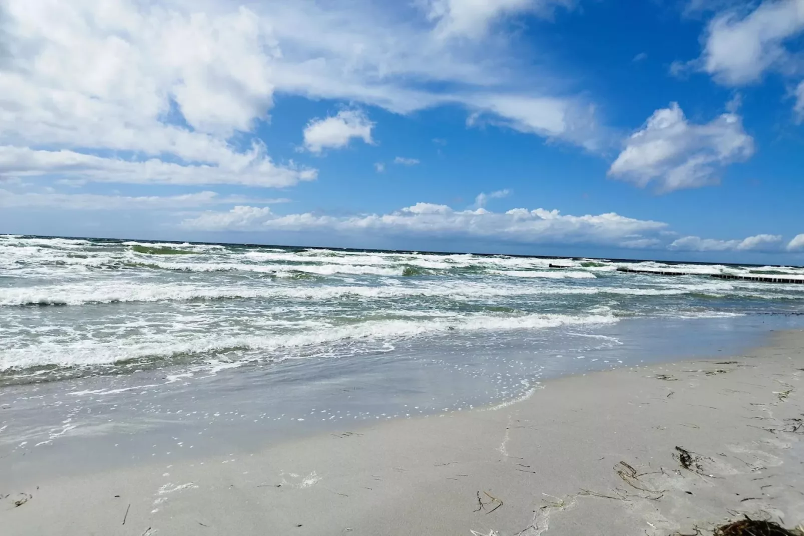 Post Hiddensee -Wohnung 2-Gebieden zomer 5km