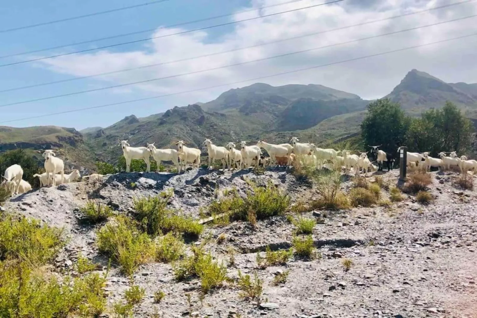 Casa Montaña de Alegria-Gebieden zomer 20km