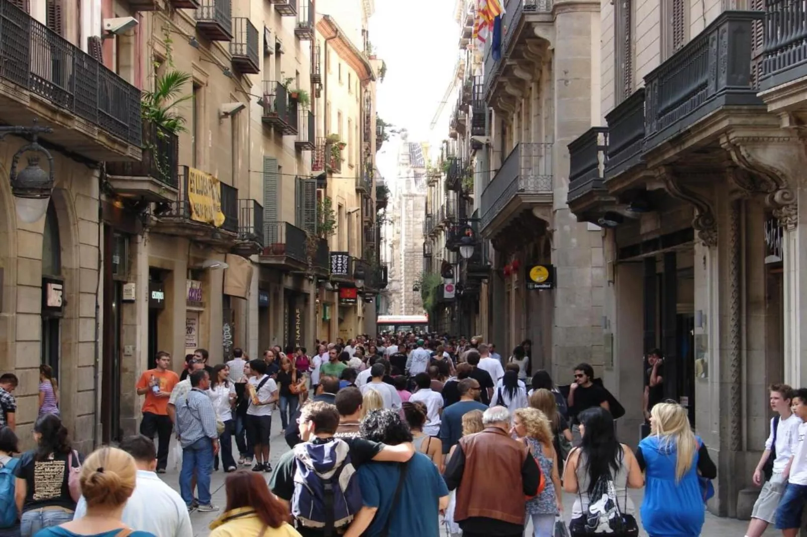 Mas Set Rengs 3-Gebieden zomer 20km