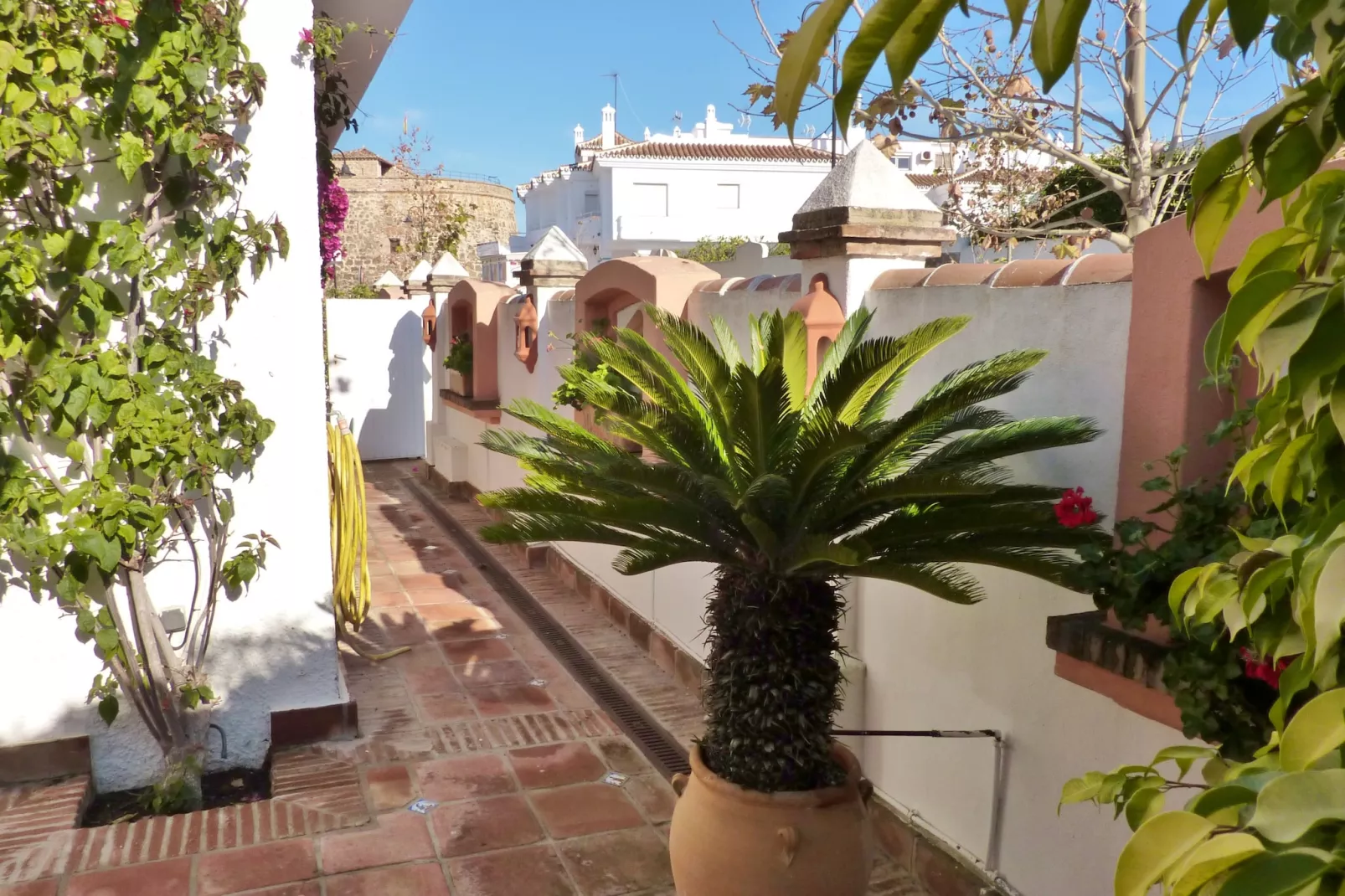 Casa Estoril-Tuinen zomer