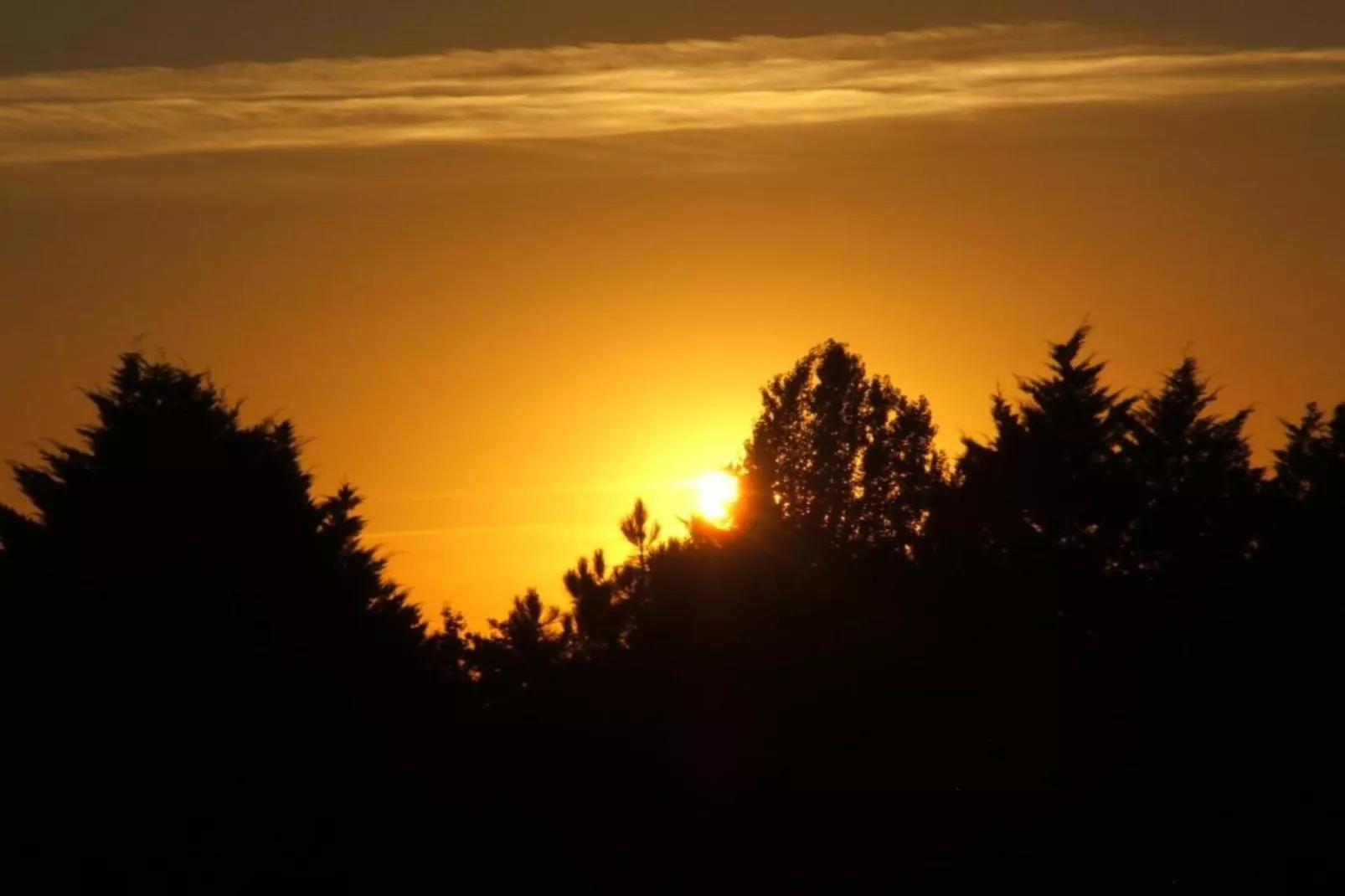 Circaud-Gebieden zomer 20km