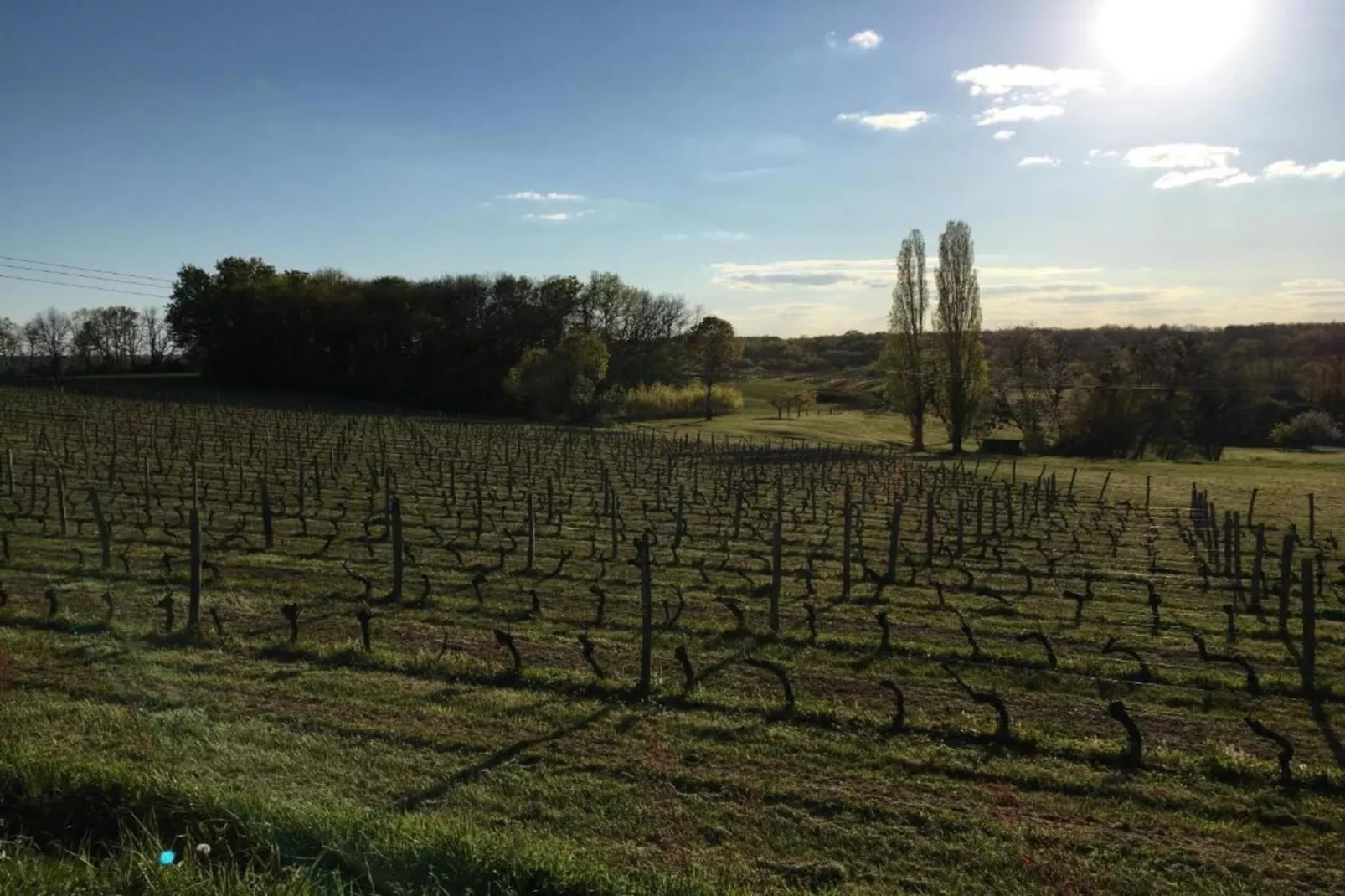 Maison de vacances Montferrand du Périgord-Gebieden zomer 20km