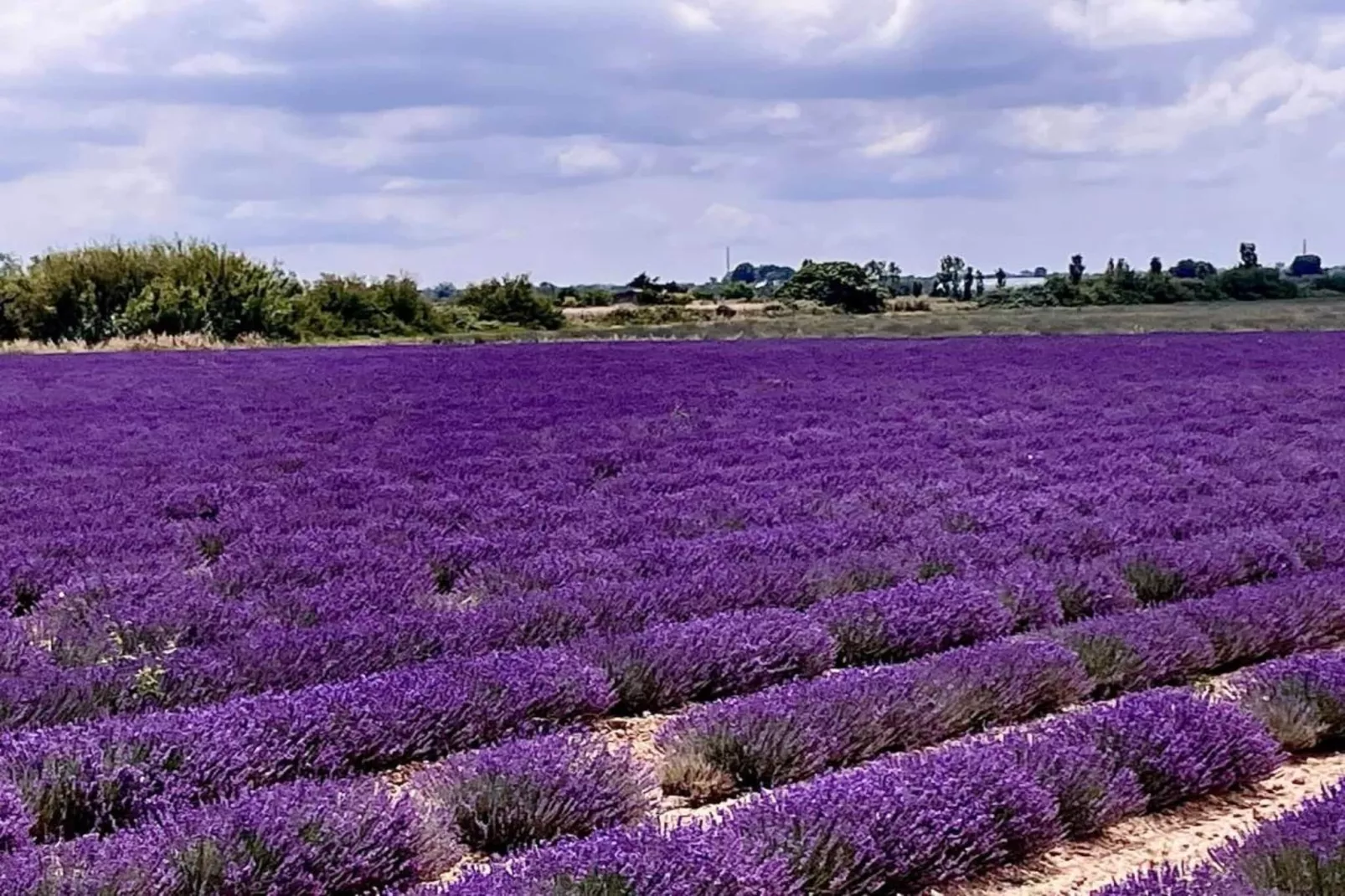 Fleur de Sel - Aigues Mortes 2-Gebieden zomer 5km