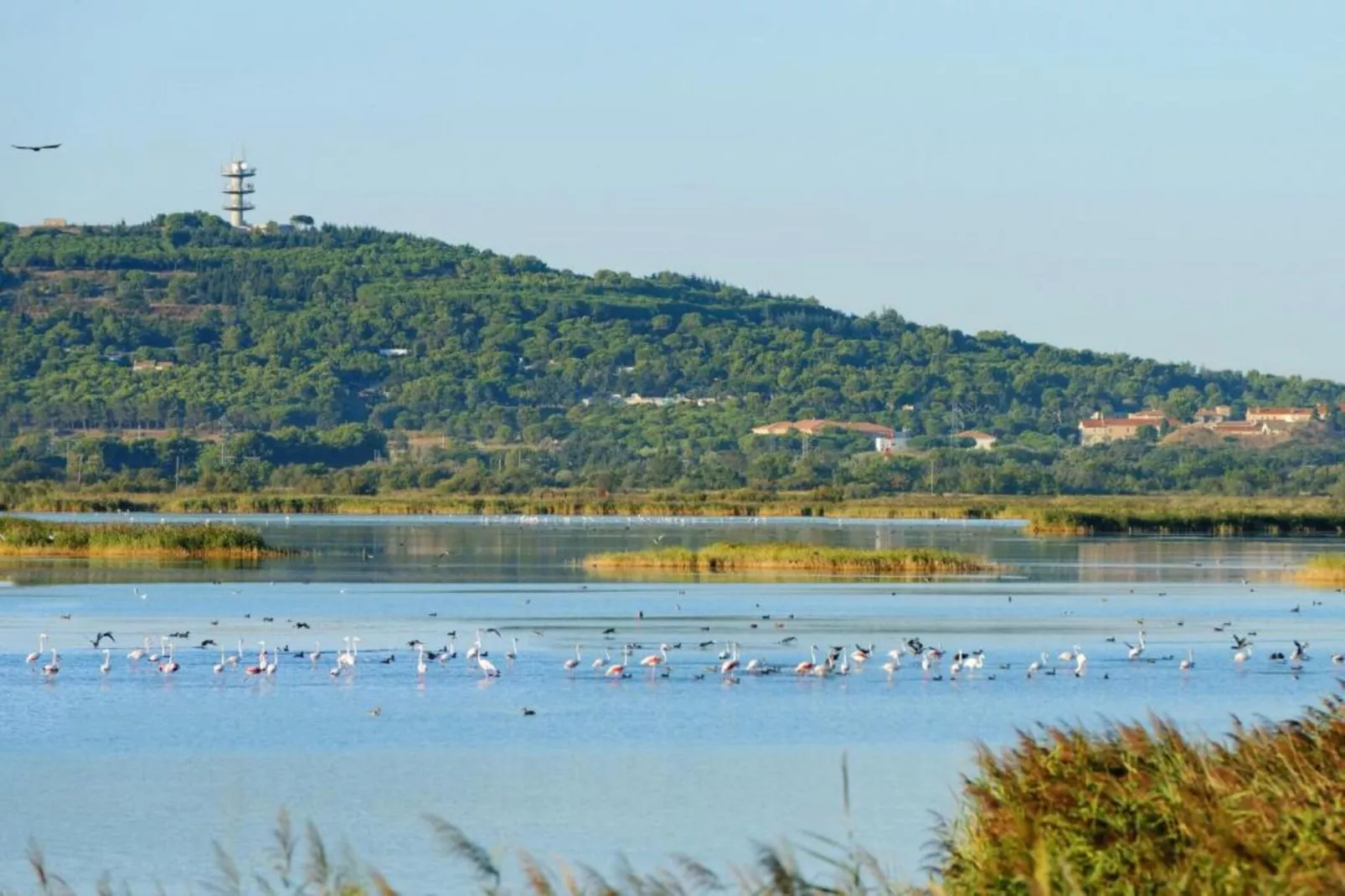 Résidence du Golfe 6-Gebieden zomer 20km