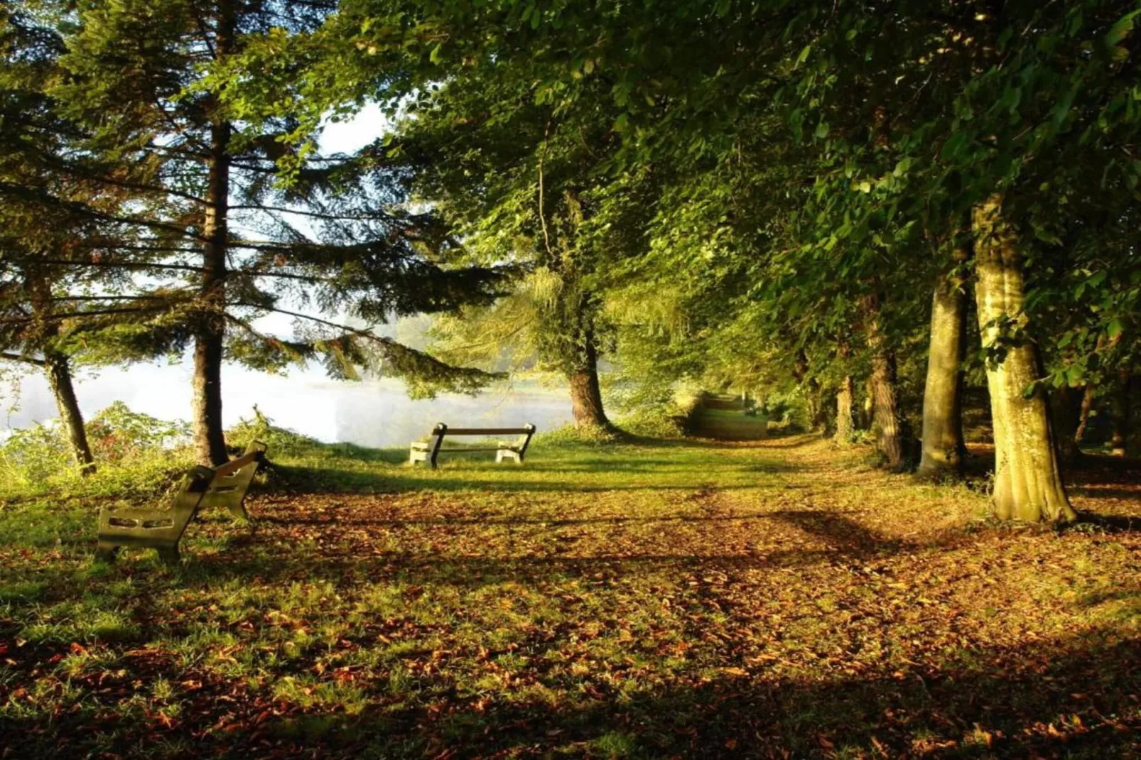 La Coquette-Gebieden zomer 20km