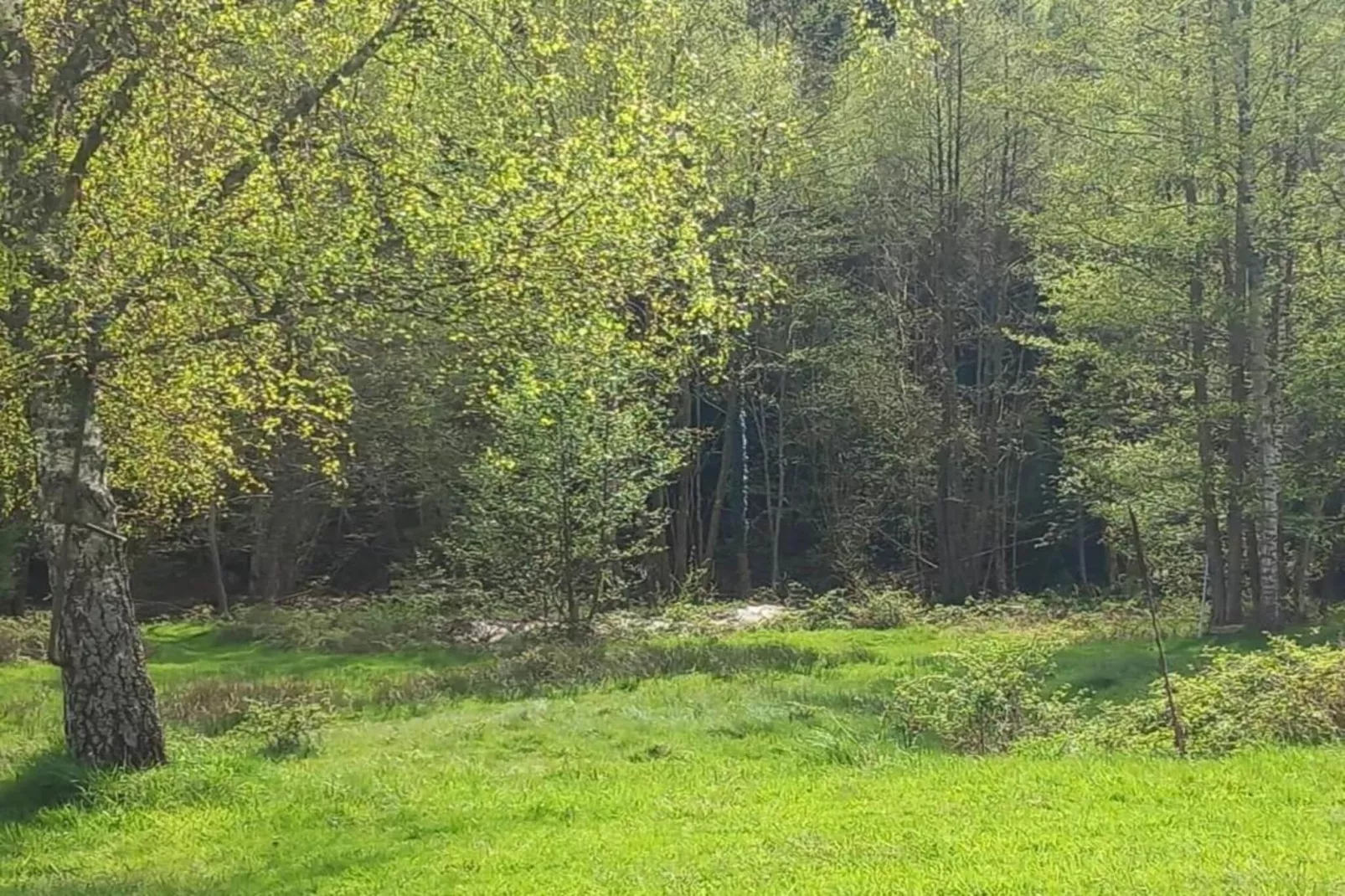 Chalet - TURQUESTEIN-Gebieden zomer 20km