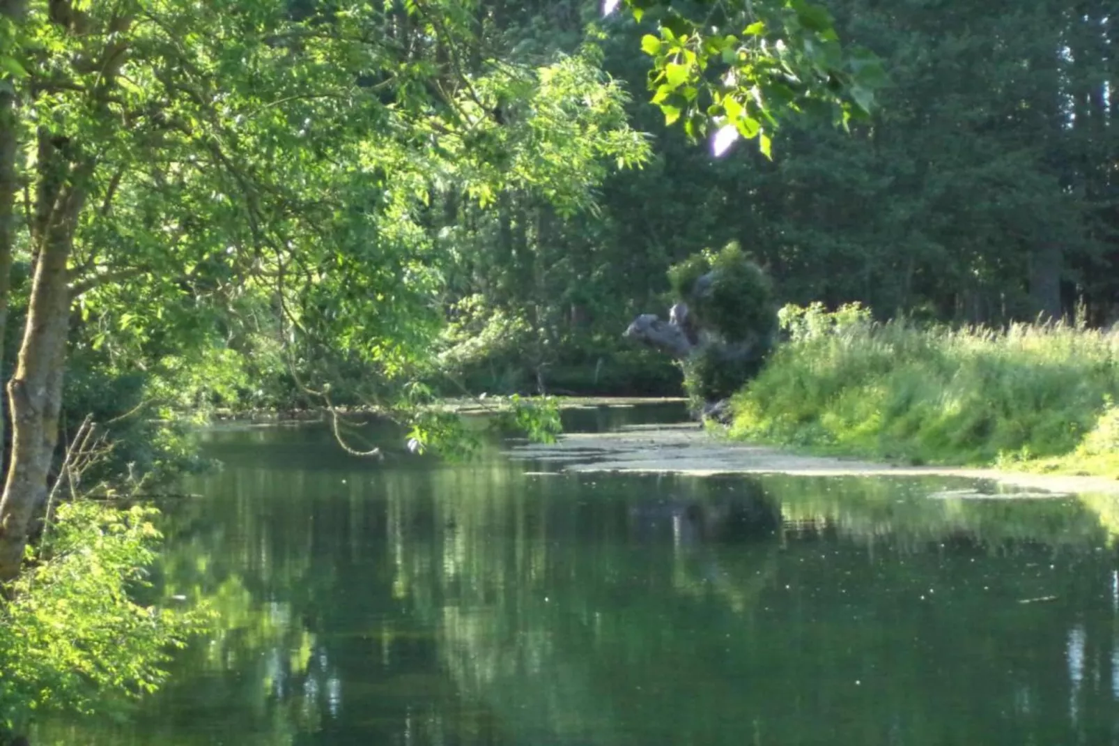 Gite des 3 Mathildes 6 pers-Gebieden zomer 20km