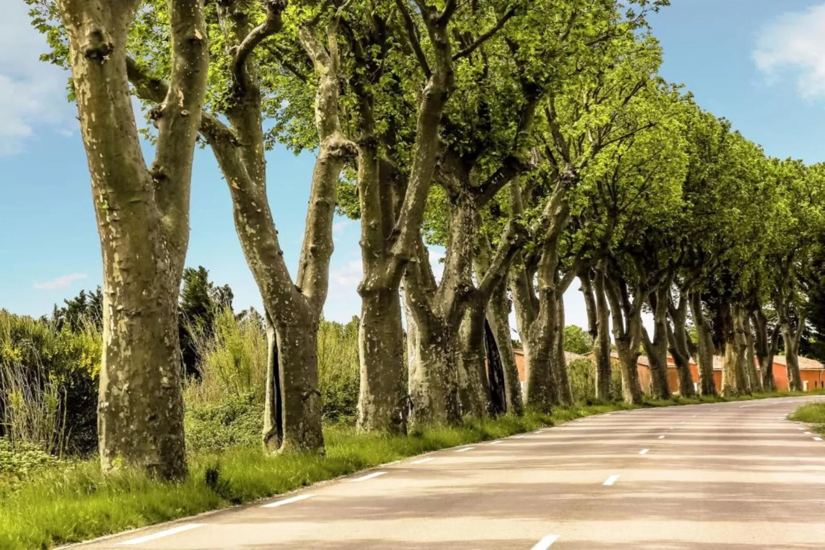 Villa Vida - Gebieden zomer 20km