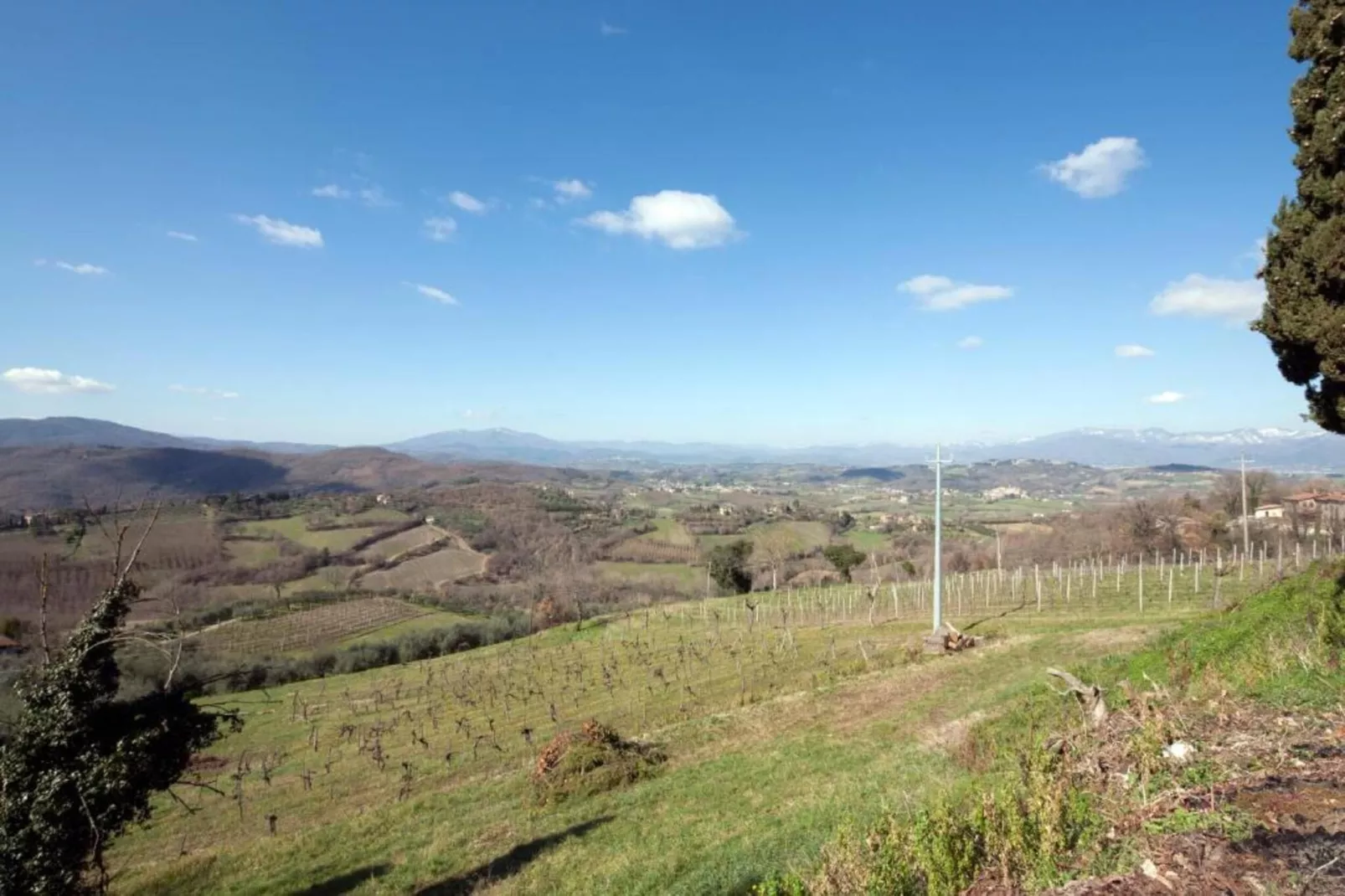 La Quiete di Montalbano-Gebieden zomer 5km