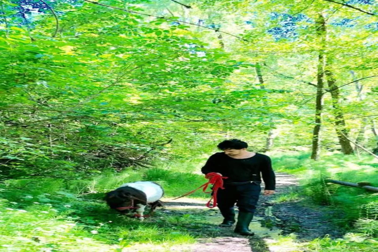 Villa Carpaneto-Gebieden zomer 20km