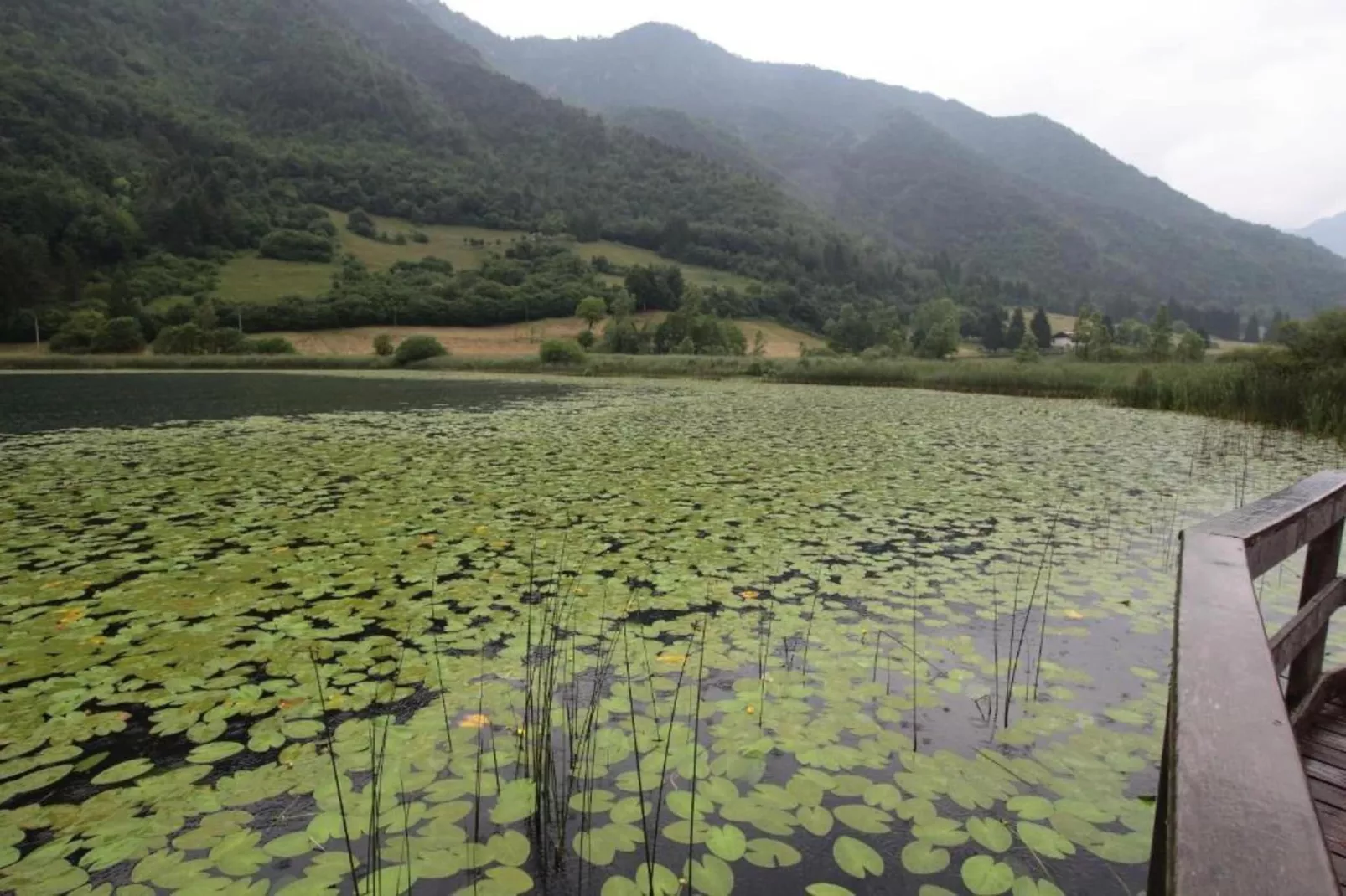 Villa Etti Bilo - Fronte Lago-Gebieden zomer 1km