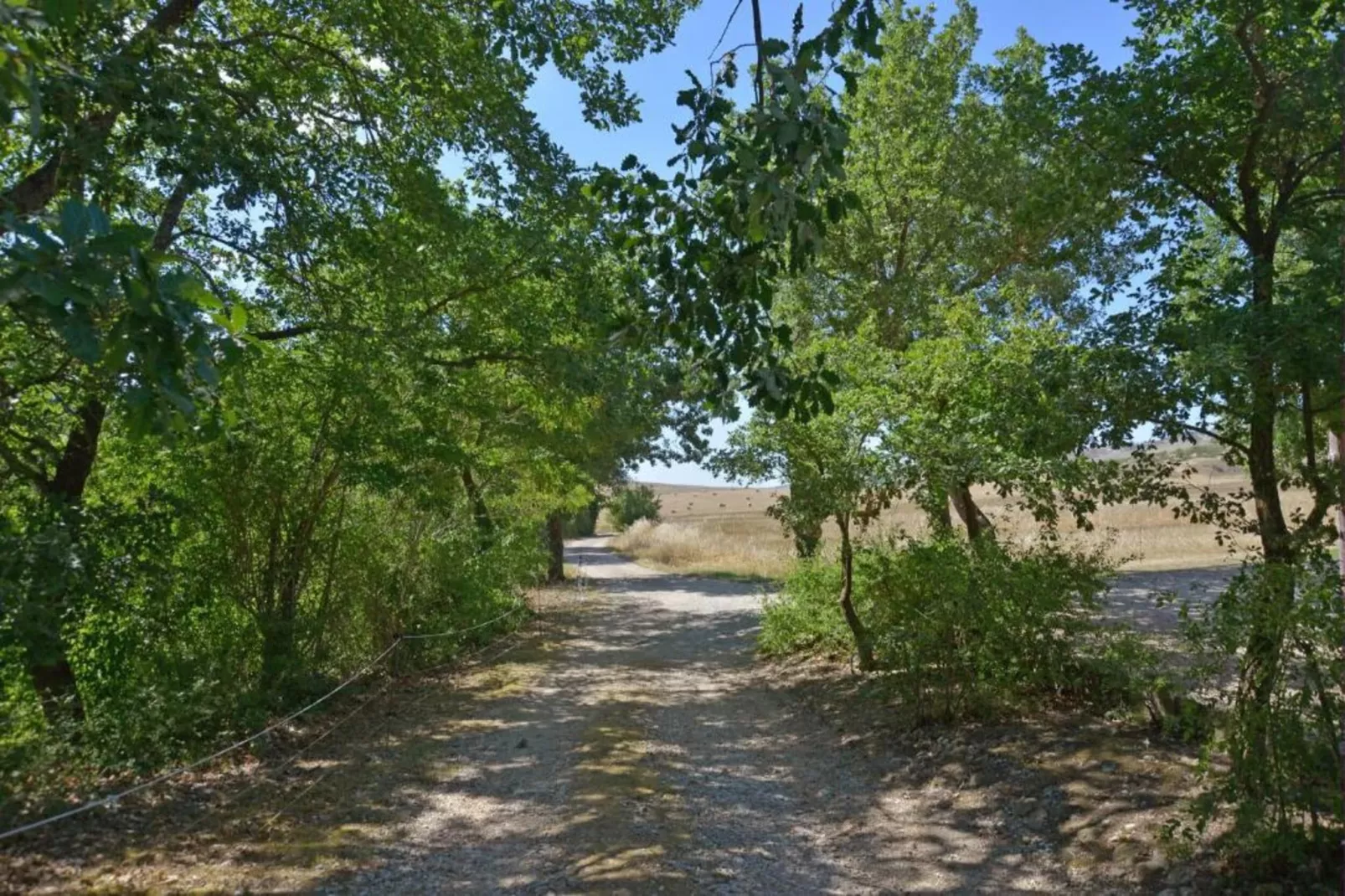 Mulino-Gebieden zomer 5km