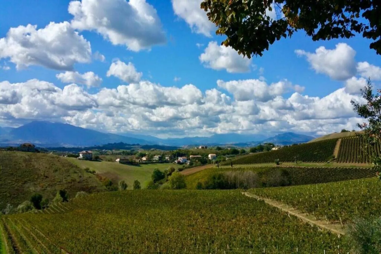 Peperoncino-Gebieden zomer 5km