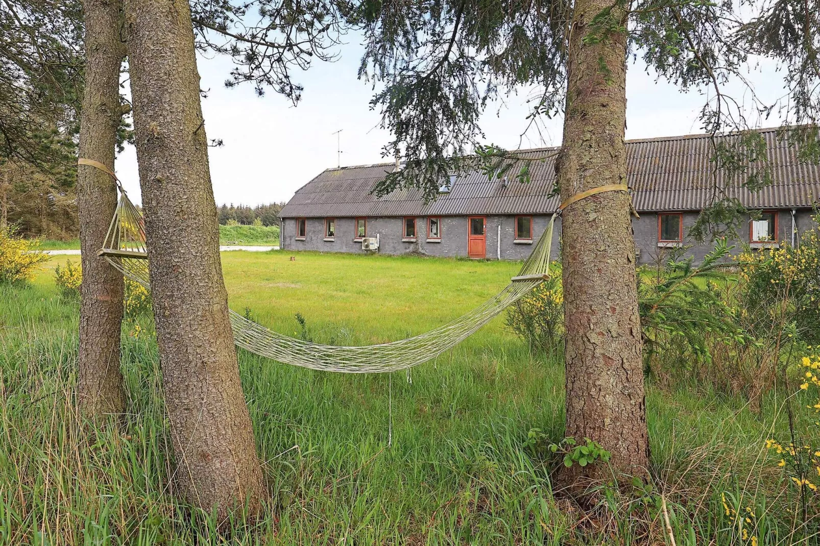 12 persoons vakantie huis in Thisted-By Traum-Buitenlucht