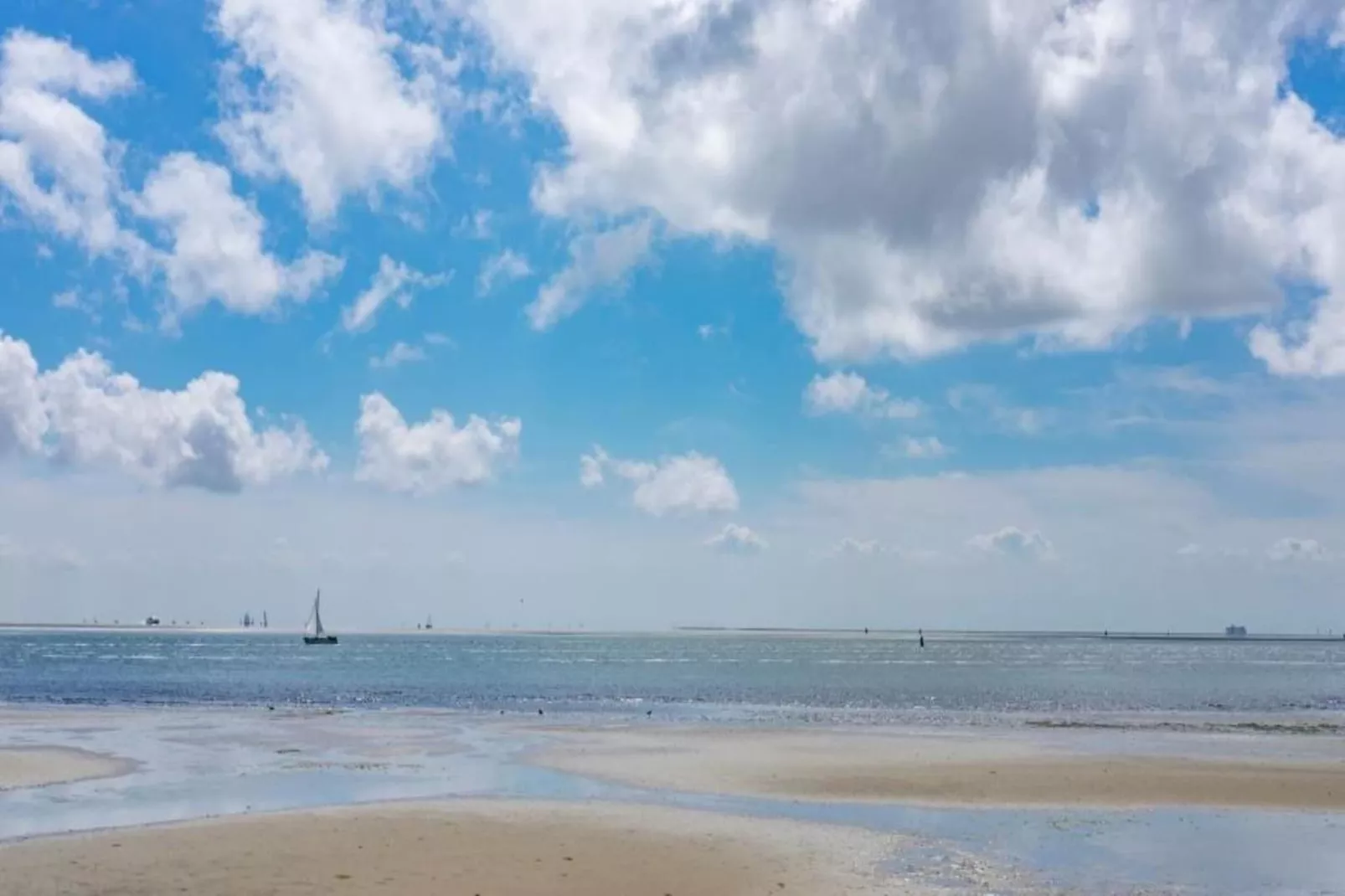 Duindroom op Terschelling-Gebieden zomer 20km