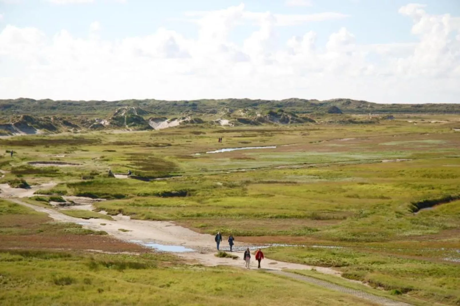 't Hoogelandt 5-Gebieden zomer 20km