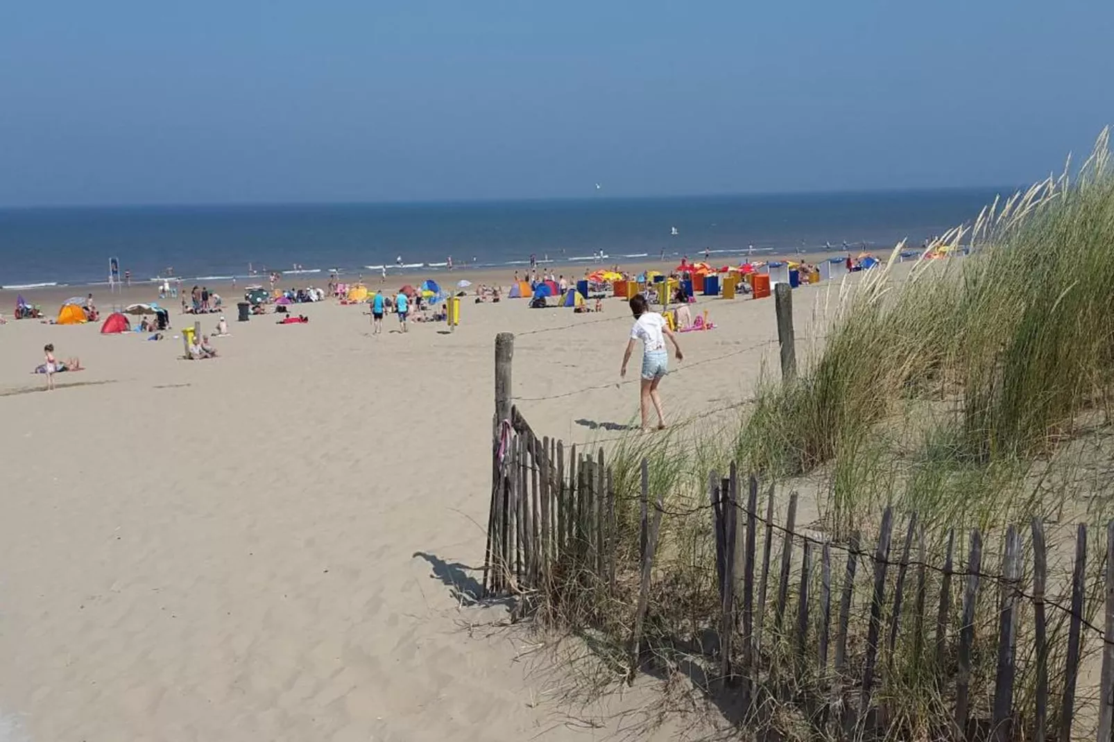 Vakantiepark Duinrust 1-Gebieden zomer 20km
