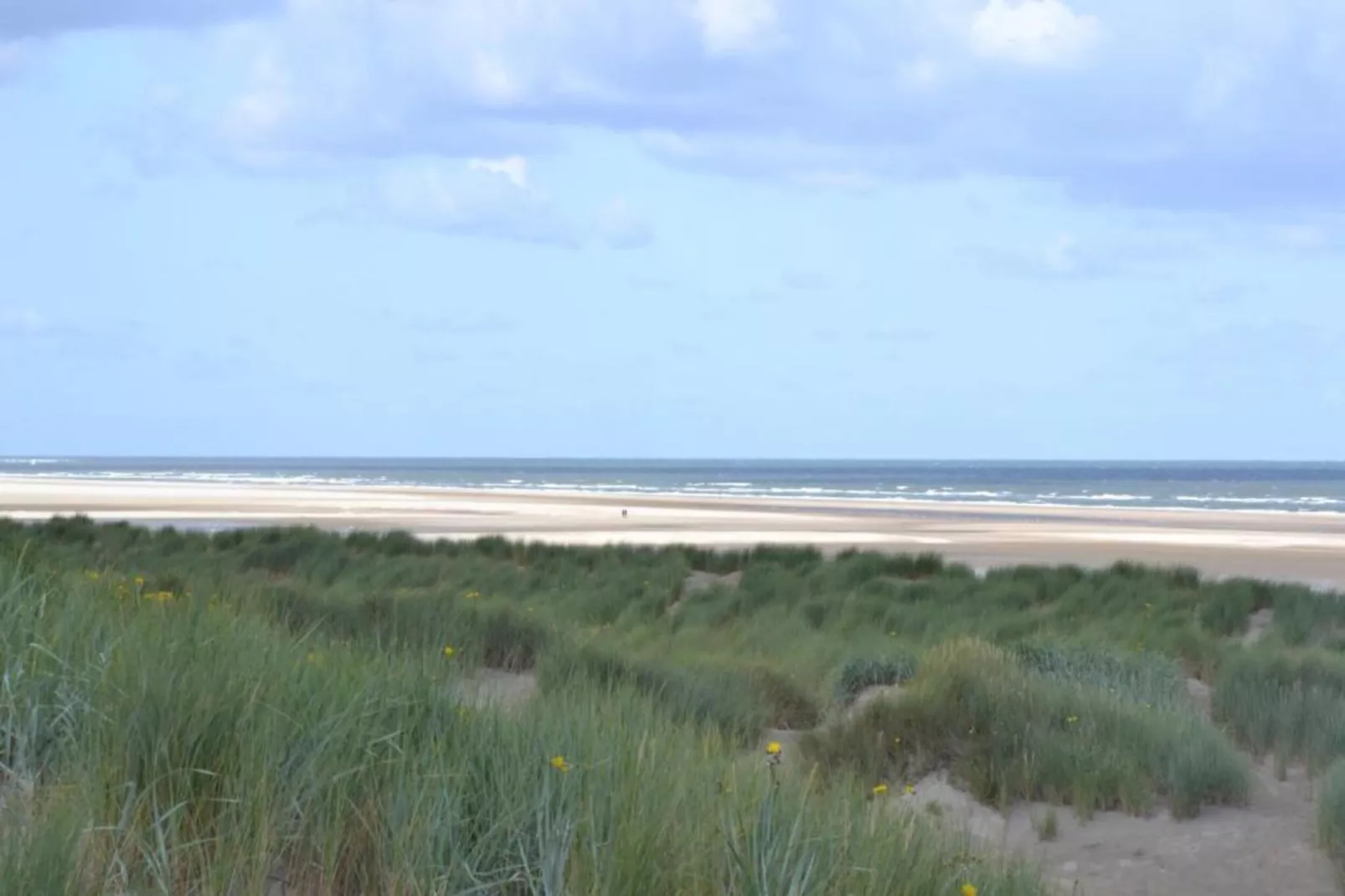 Beach Resort Nieuwvliet-Bad 16-Gebieden zomer 20km