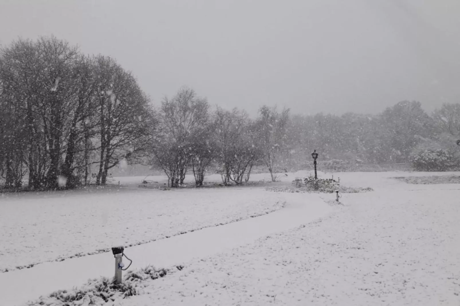 Parc de Kievit 9-Gebied winter 20km