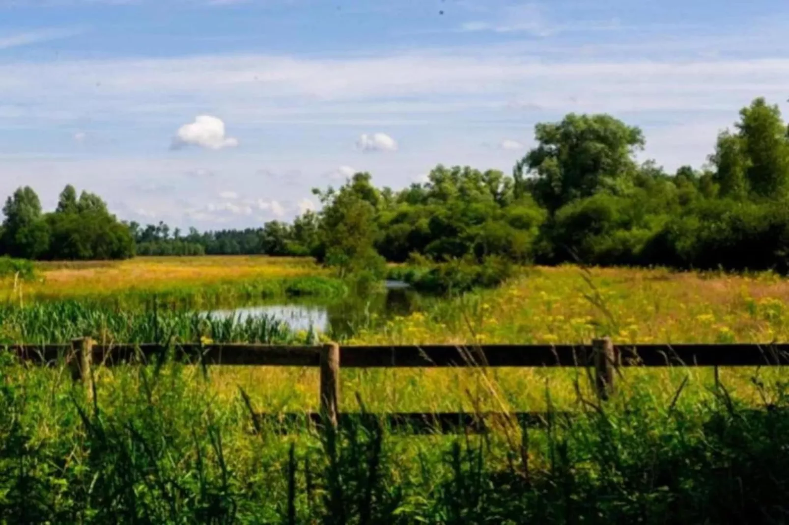 Vakantiepark Schaijk 7-Gebieden zomer 5km